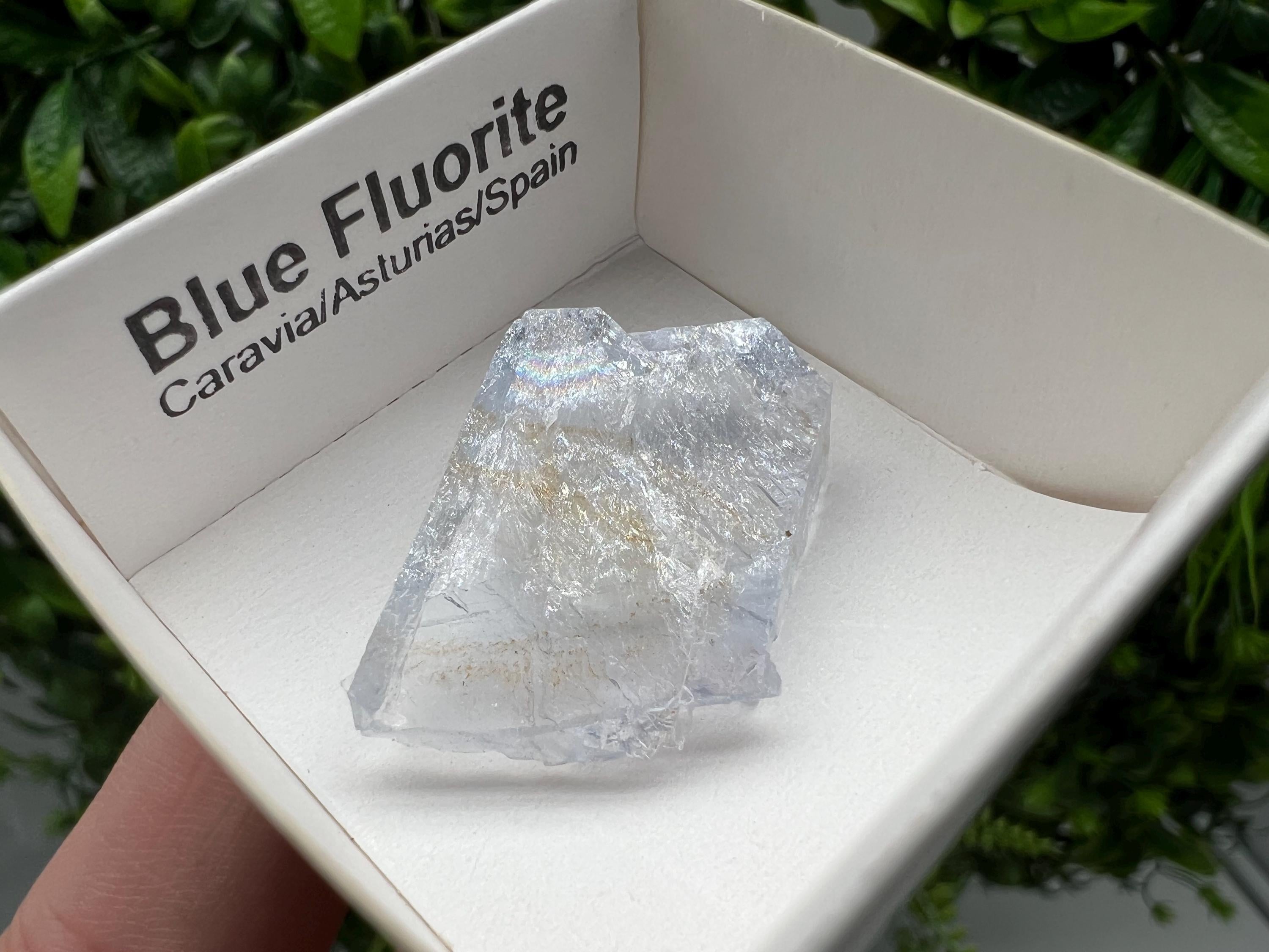 Blue Fluorite Mineral Specimen: Spain Collection (3/2 cm