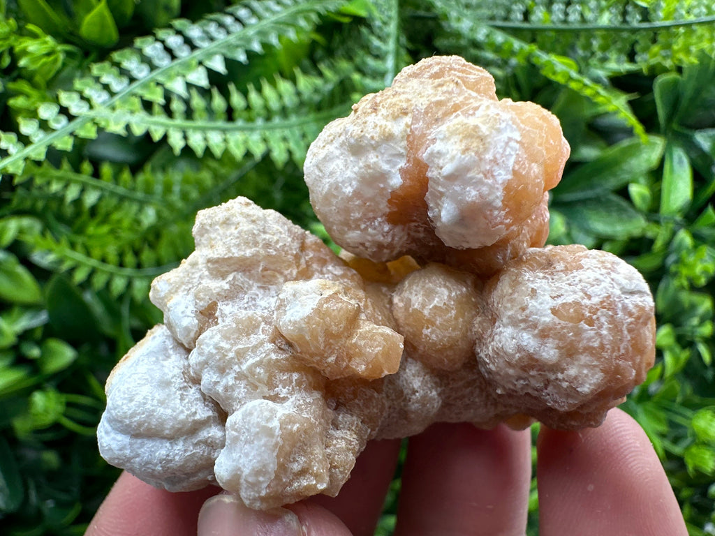 Aragonite Cluster, Dimitrovgrad Bulgaria, Mineral Specimen