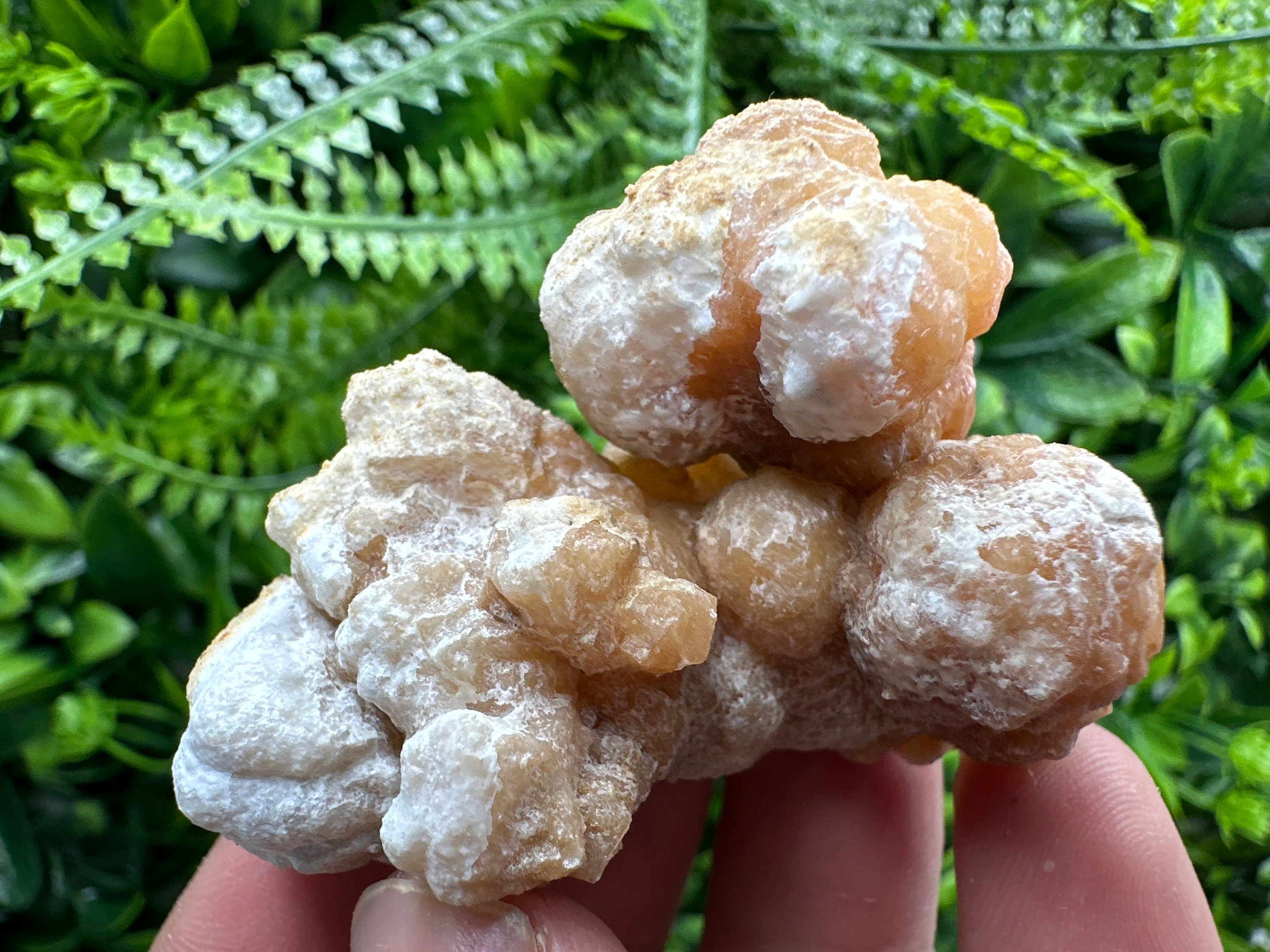 Aragonite Cluster, Dimitrovgrad Bulgaria, Mineral Specimen