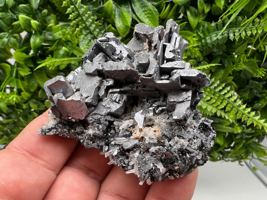 Galena Cluster with Siderite and Quartz: 9th September Mine, Bulgaria