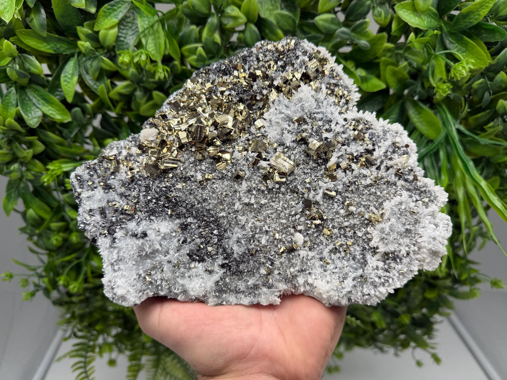 Pyrite Sphalerite Quartz  Mineral Specimen, Krushev dol Mine