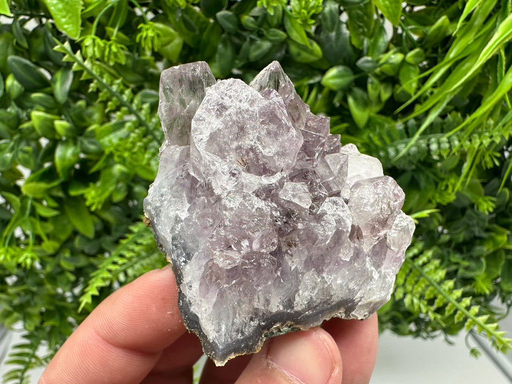 Brazilian Amethyst Crystal Cluster, Purple Quartz Specimen