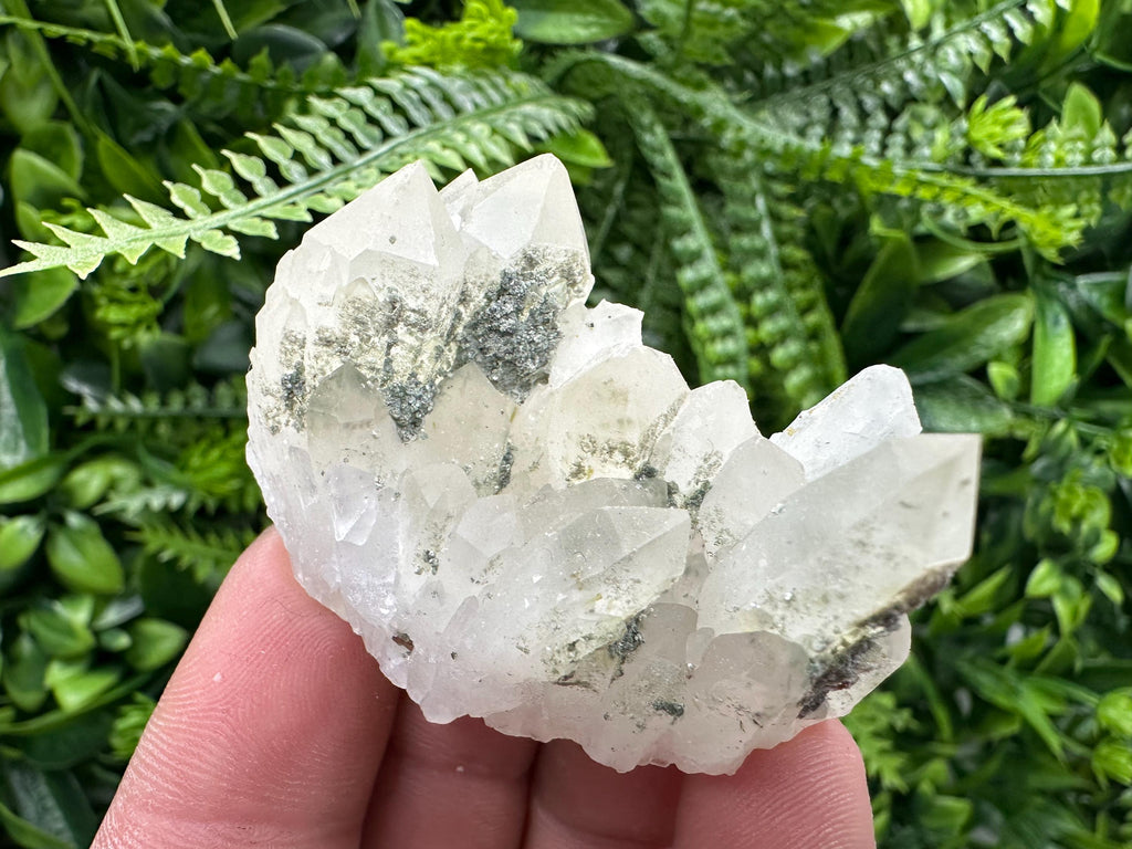 Limonite Quartz with Chlorite Inclusion: Djurcovo Laki Bulgaria Crystal