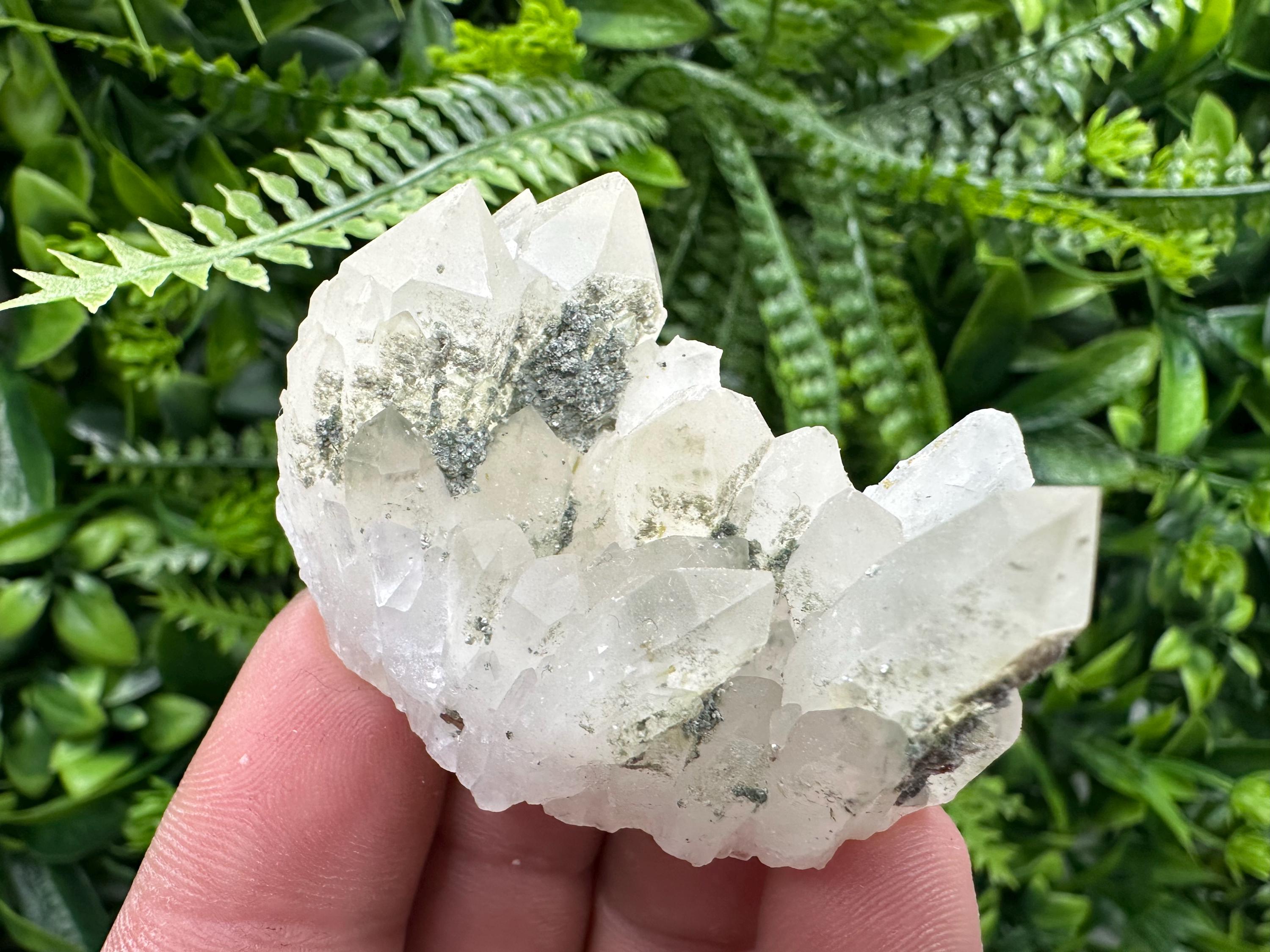 Limonite Quartz with Chlorite Inclusion: Djurcovo Laki Bulgaria Crystal