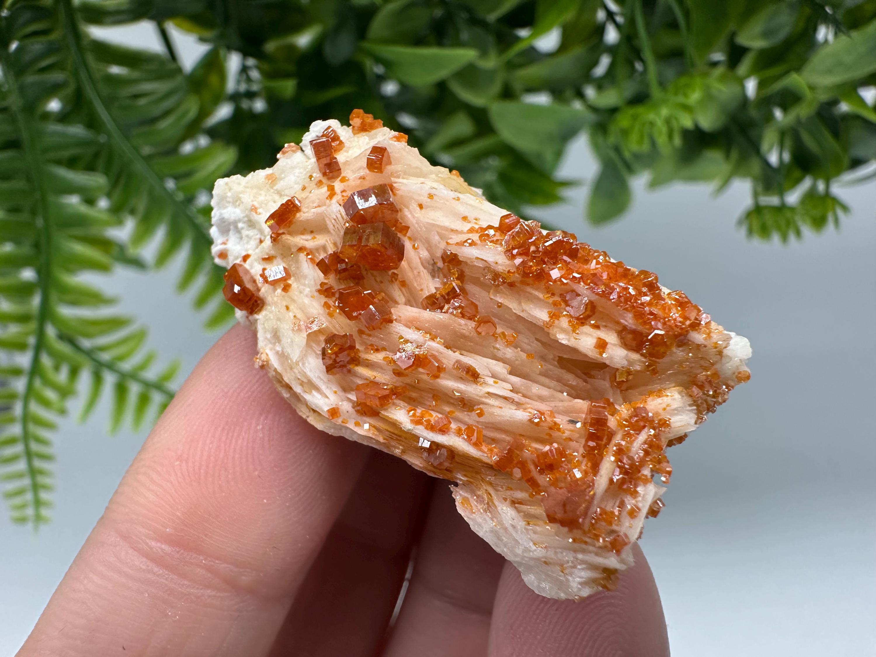 Red Vanadinite Crystal Cluster on Barite, Morocco Mineral Specimen