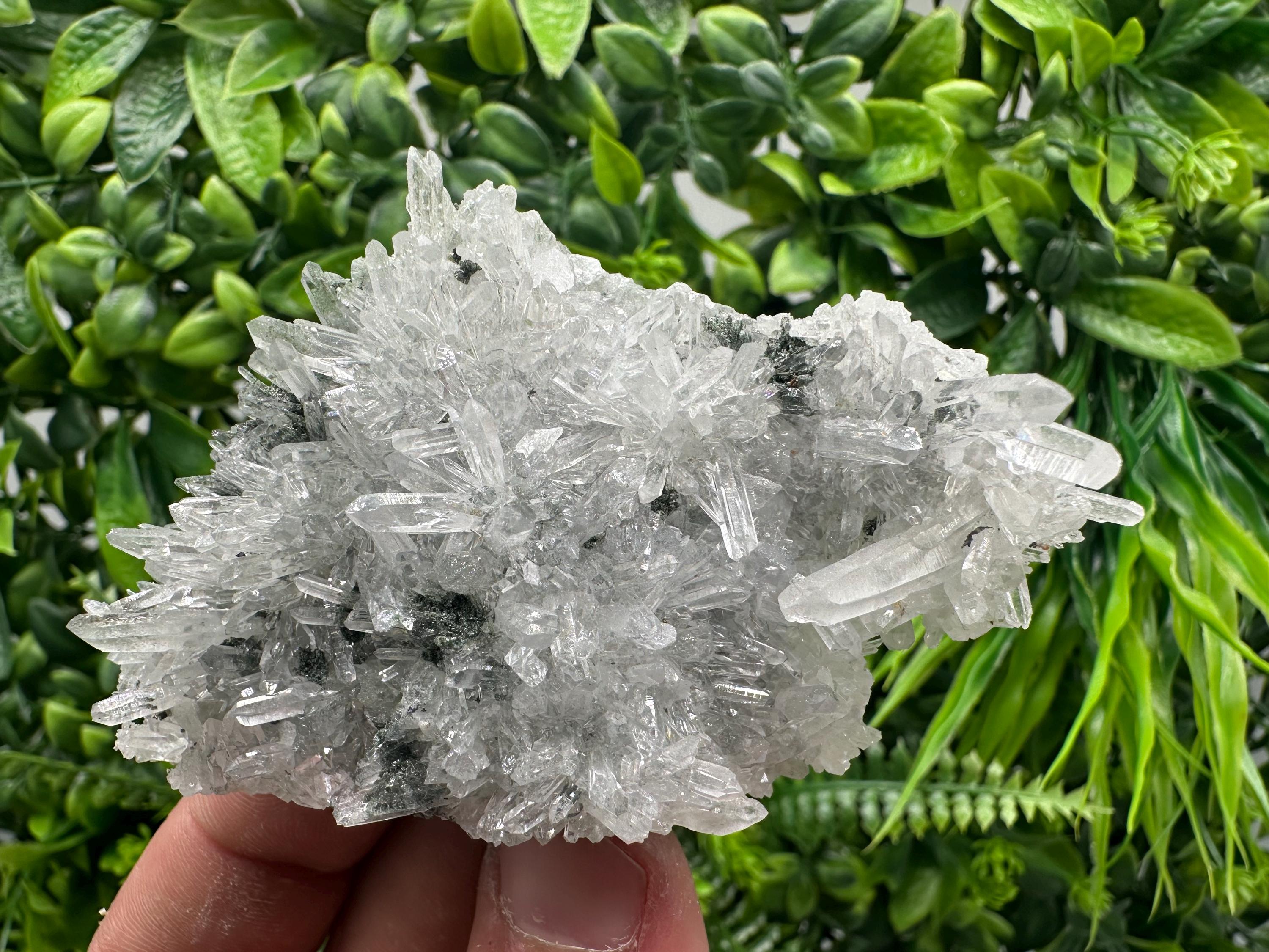 Transparent Quartz on Chlorite Matrix, Borieva Mine, Bulgaria