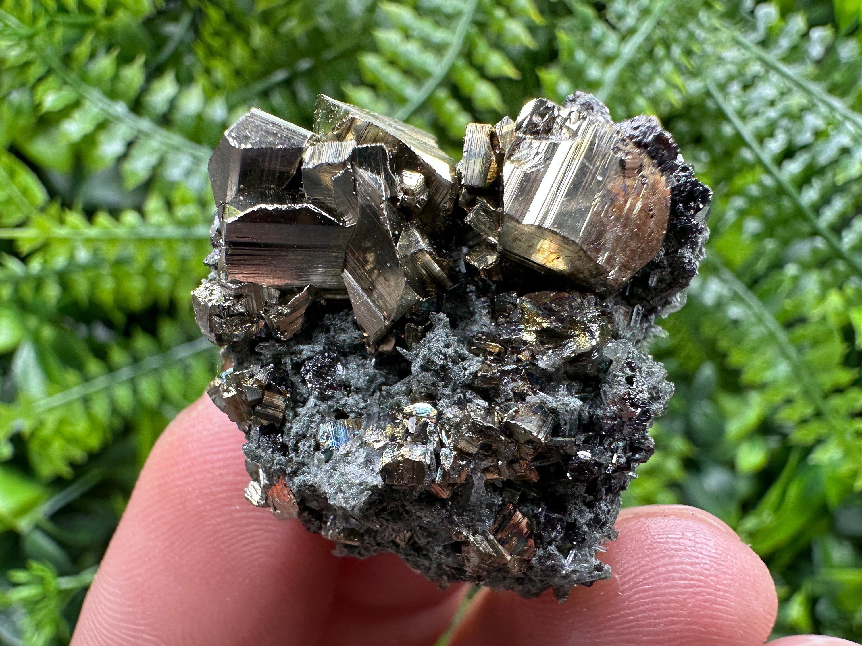 Pyrite on Quartz with Chlorite, Natural Crystal Mineral Specimen