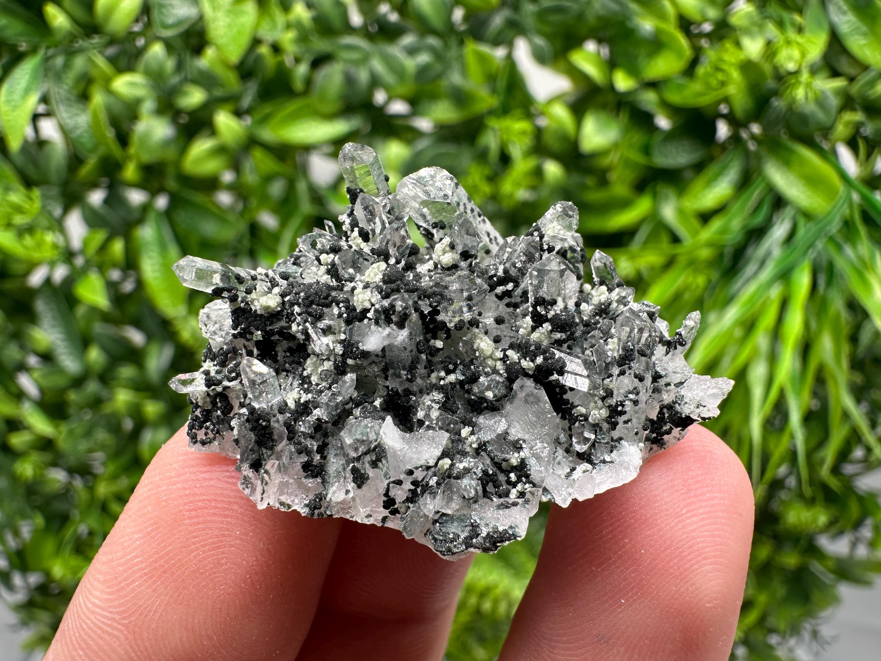 Chlorite Quartz Mineral Specimen, Borieva Mine, Bulgaria