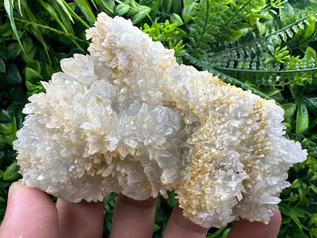 Quartz with Limonite, Iron Oxide Mineral Specimen