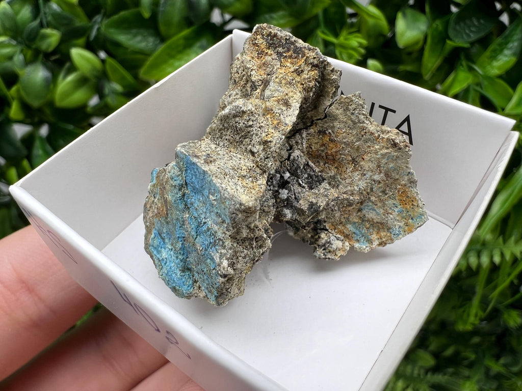 Rare Raw Aerinite Mineral Specimen: Lleida, Spain Crystal