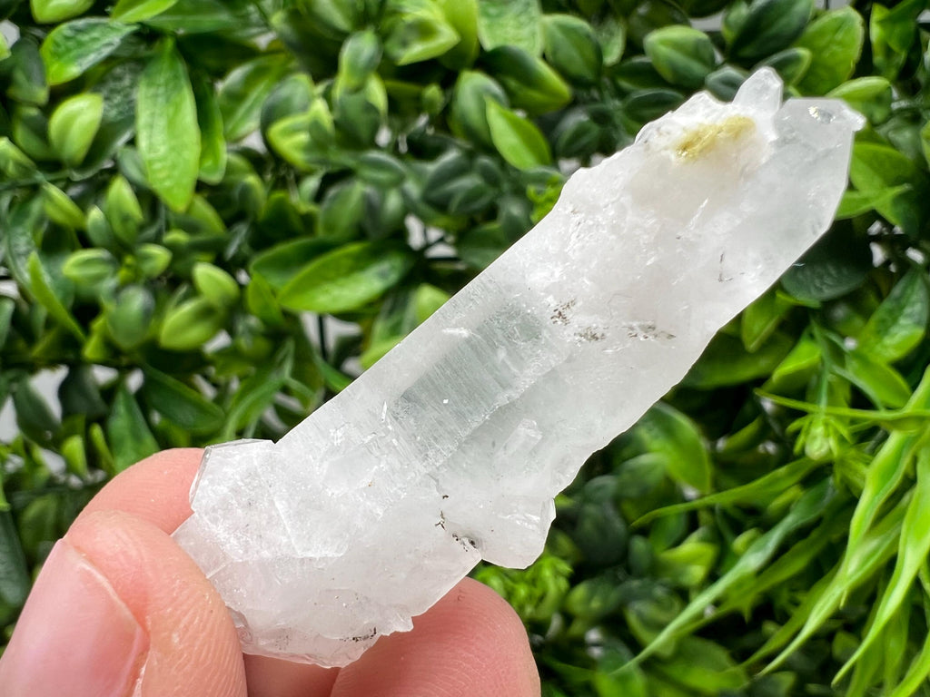 Transparent Quartz on Chlorite Matrix, Borieva Mine, Bulgaria