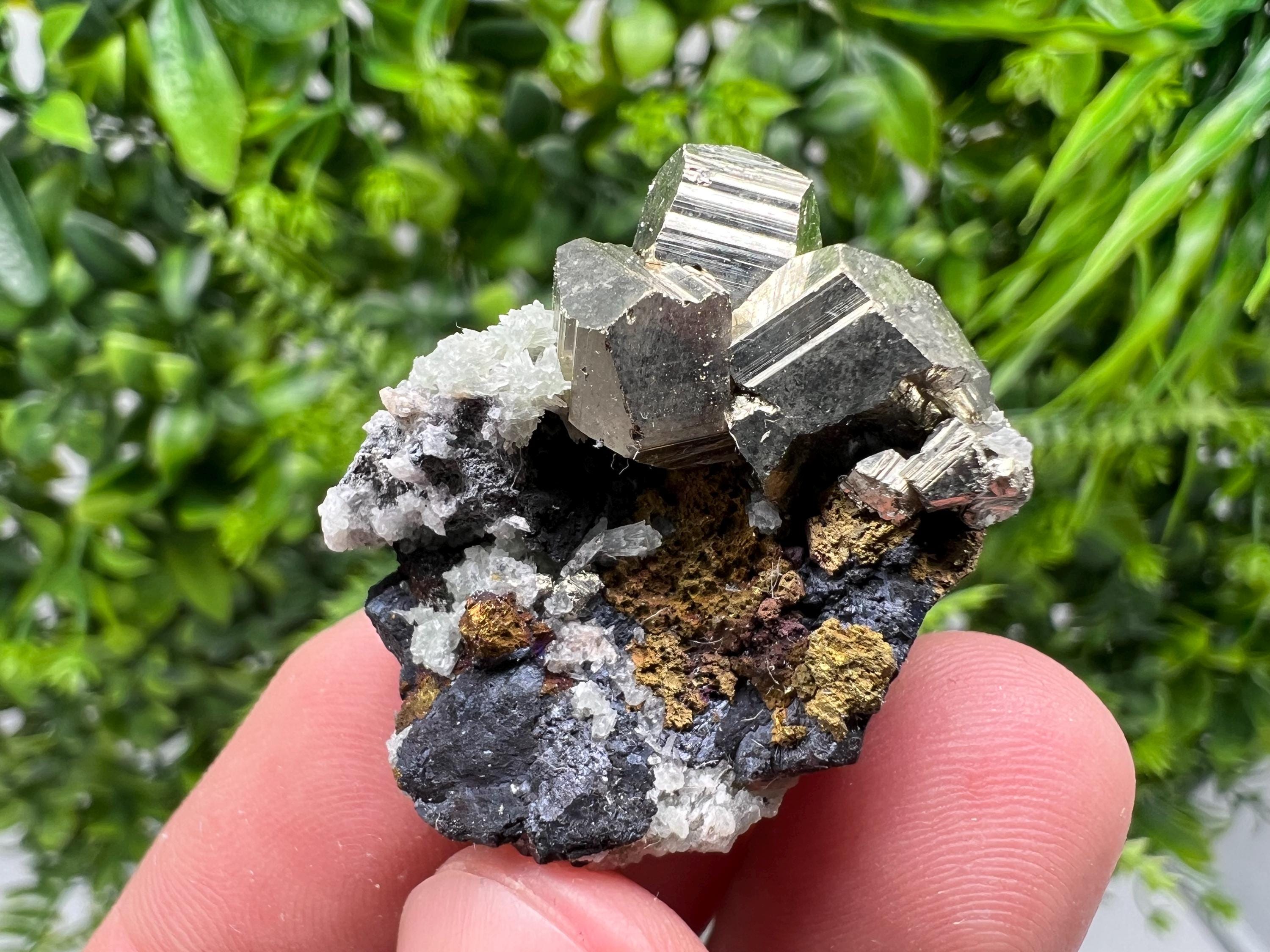 Golden Pyrite,Sphalerite from 9th September mine,Madan,Bulgaria,natural,collectible mineral specimen,home decor crystal,Pyrite cluster,