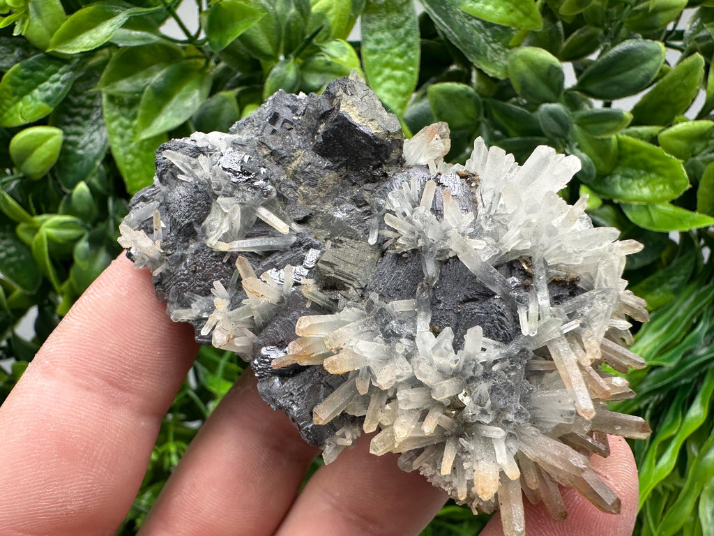 Galena, Sphalerite, Chalcopyrite, and Quartz Mineral Specimen, Djurcovo Mine