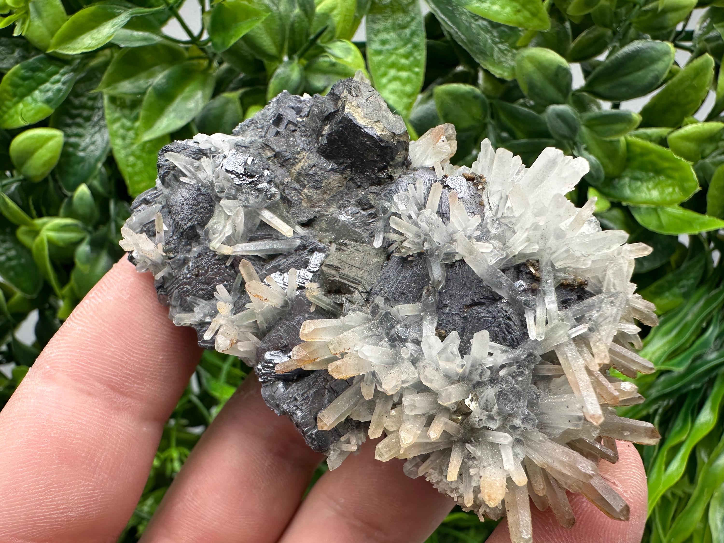 Galena, Sphalerite, Chalcopyrite, and Quartz Mineral Specimen, Djurcovo Mine