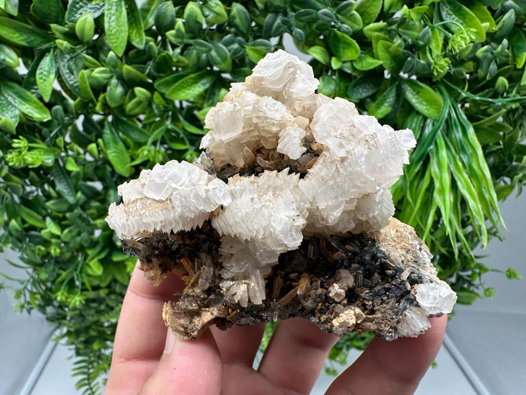 Quartz Crystal with Calcite and Chlorite - Borieva Mine, Bulgaria