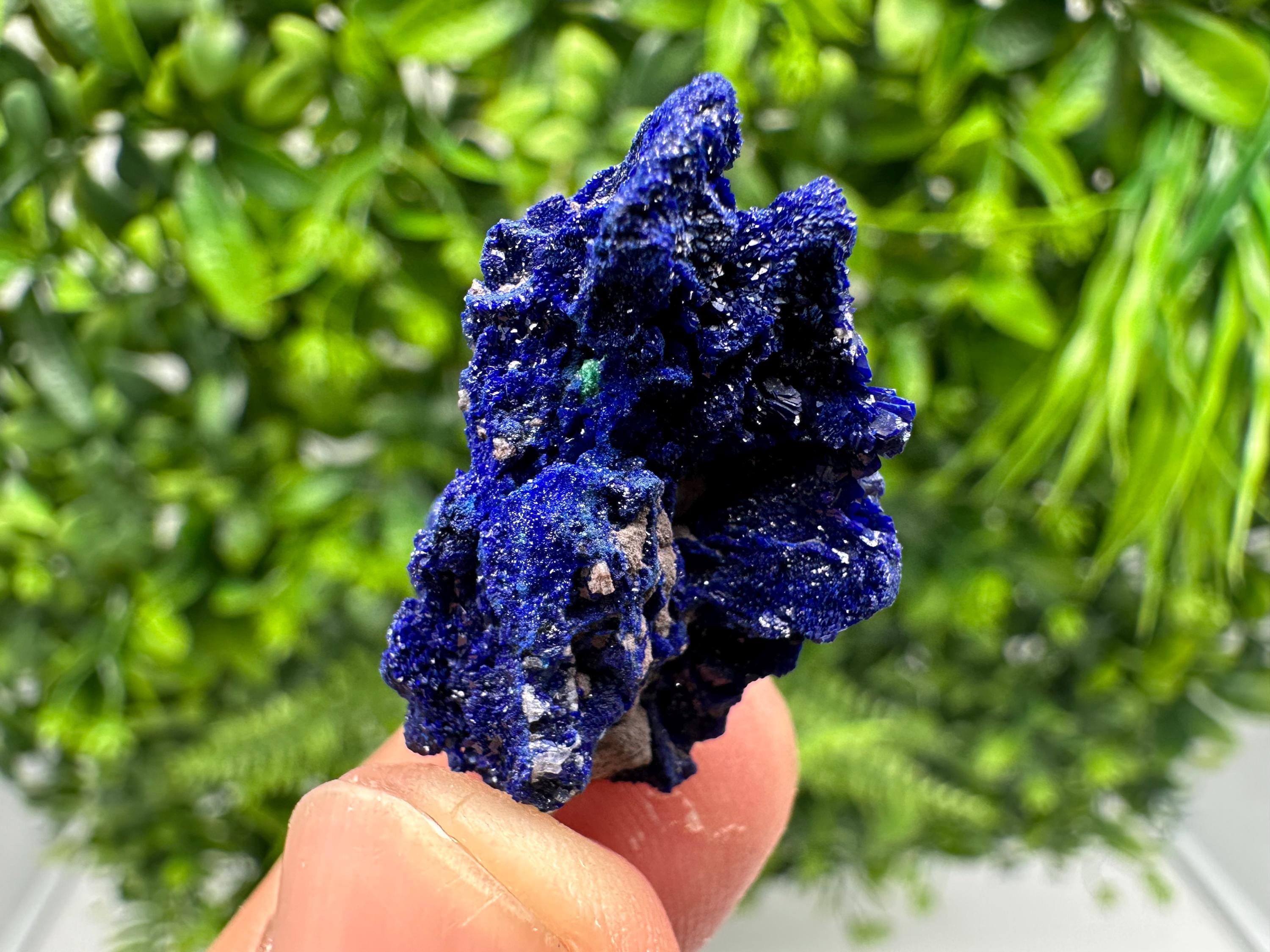 Crystallized Azurite-Kerrouchen,Morocco-Blue Azurite Specimen-High Quality Blue Azurite-Azurite Mineral Specimen, gemmy,lustrous of Azurite