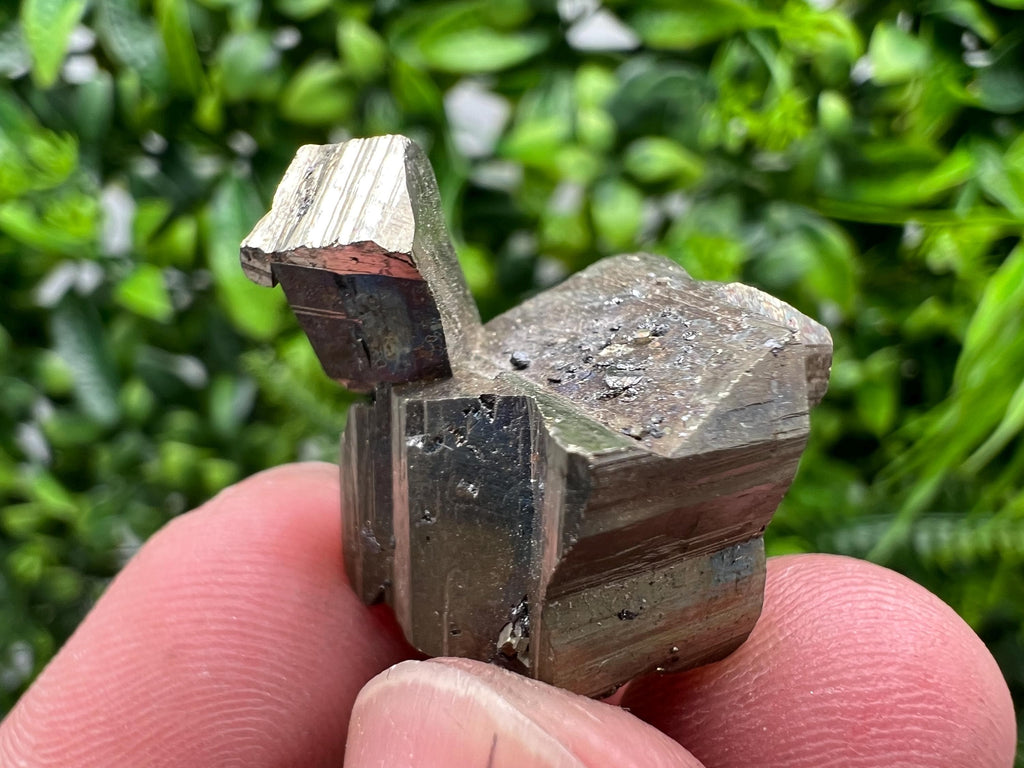 Mini Rare crystallisation Pyrite,Borieva mine,Bulgaria,floating Pyrite,golden Pyrite,Pyrite cluster,mini Collection specimen,Rainbow Pyrite