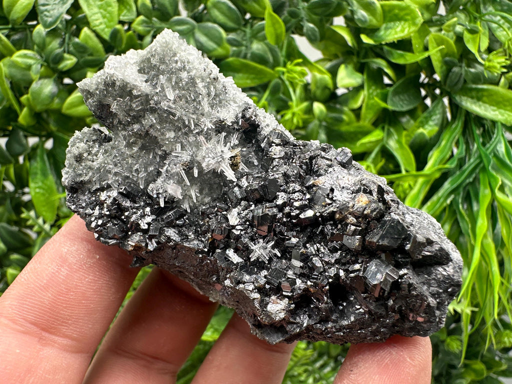 Sphalerite on Green Quartz, Madan Bulgaria Mineral Specimen