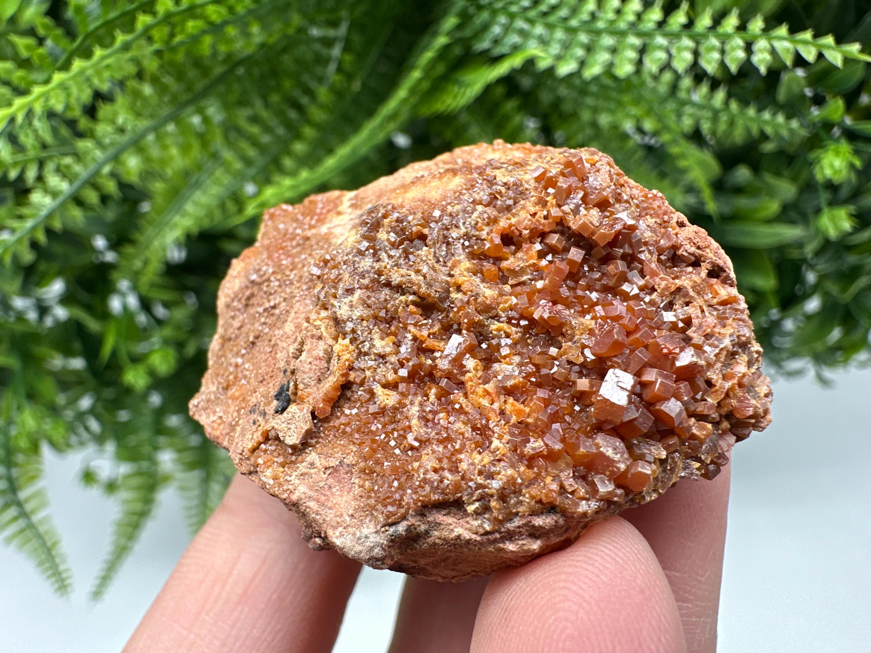 Red Vanadinite on Matrix from Marocco,crystal minerals Speciment cluster Vanadinite crystal Vanadinite Geology Vanadinite cluster minerals