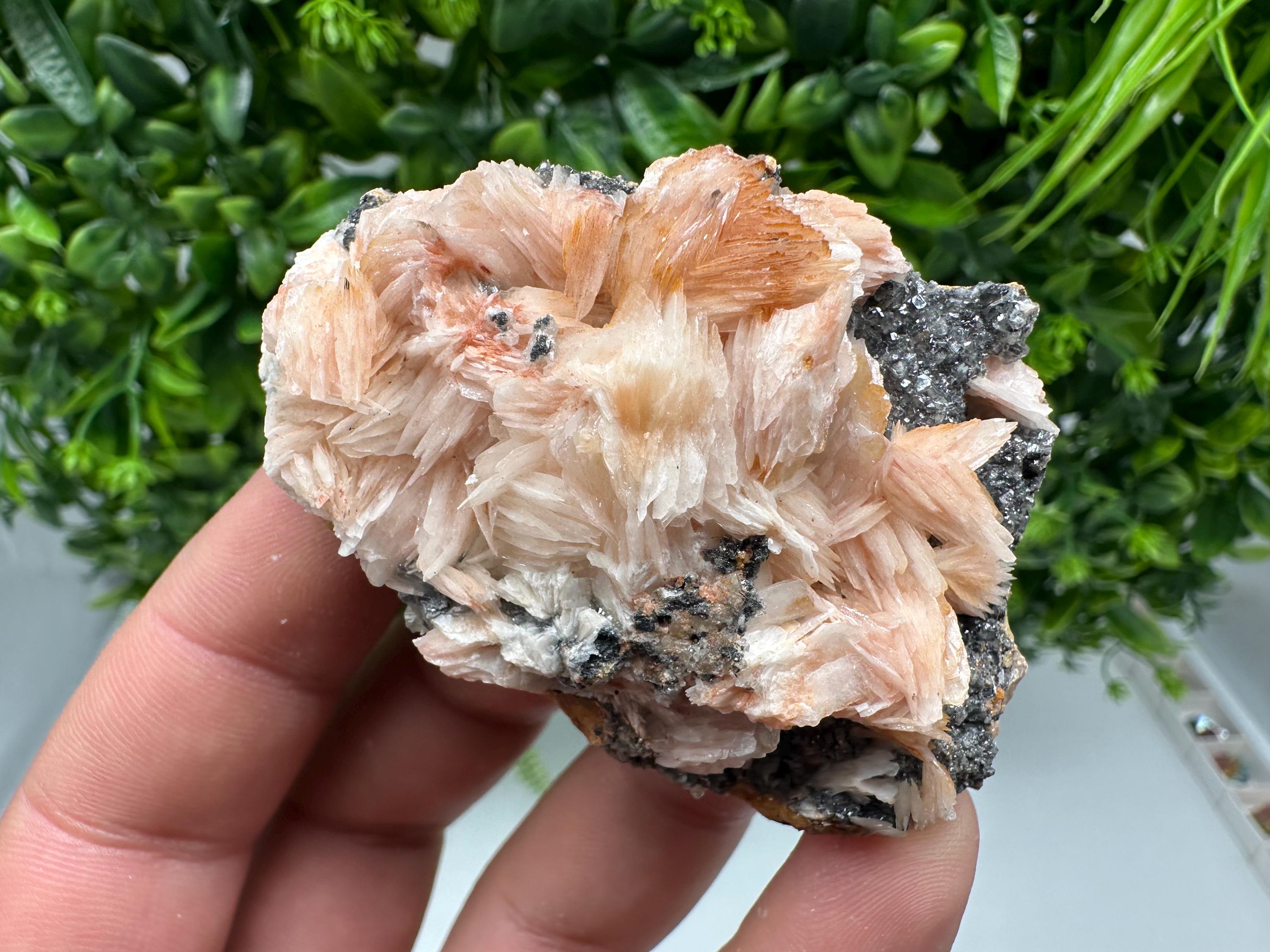 Wonderful Baryte with Cerussite on Galena from Morocco,Crystal, Mineral,Specimen,Cluster,Crystals,Barite Crystal,Cerussite Crystal,Specimen