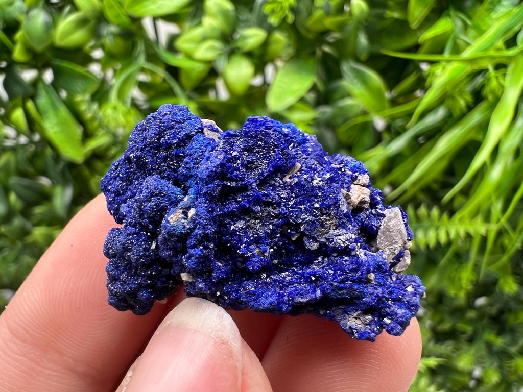 Crystallized Azurite-Kerrouchen,Morocco-Blue Azurite Specimen-High Quality Blue Azurite-Azurite Mineral Specimen, gemmy,lustrous of Azurite