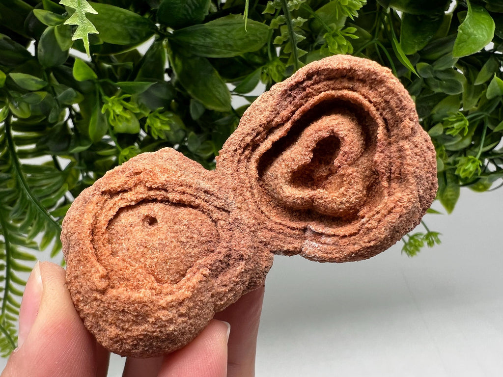 Raw Stromatolite Fossil Specimen, Moroccan Grounding Stone