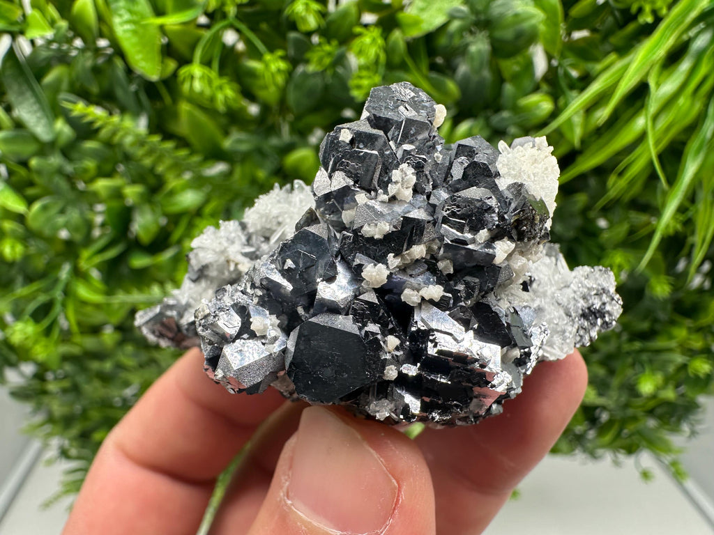 Galena on Quartz with Calcite, Borieva Mine, Bulgaria
