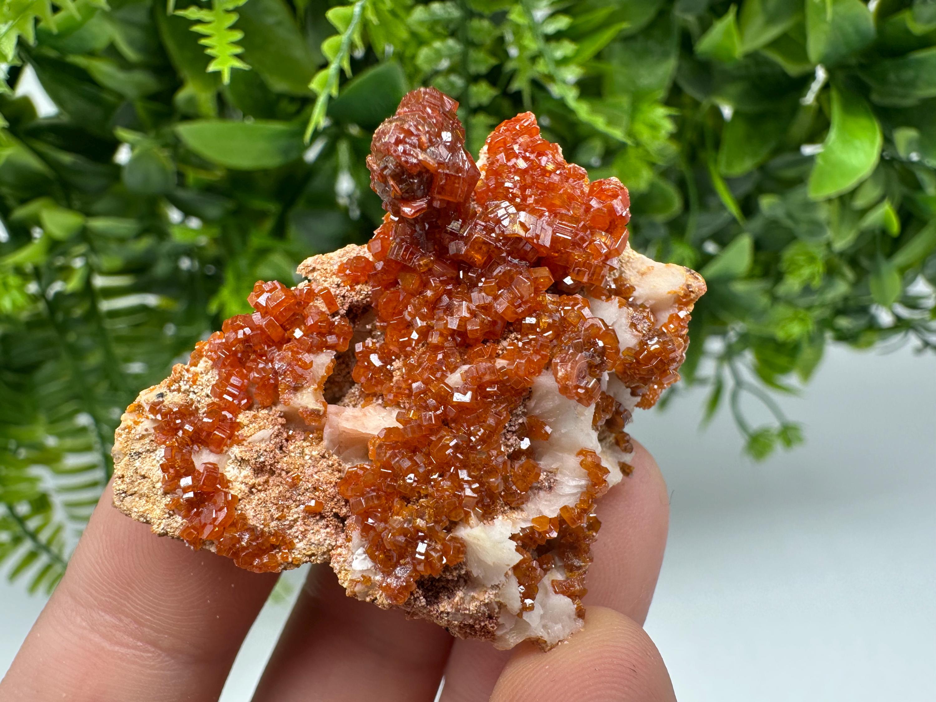 Red Vanadinite on Barite from Marocco,crystal minerals Speciment cluster Vanadinite crystal Vanadinite Geology Vanadinite cluster minerals