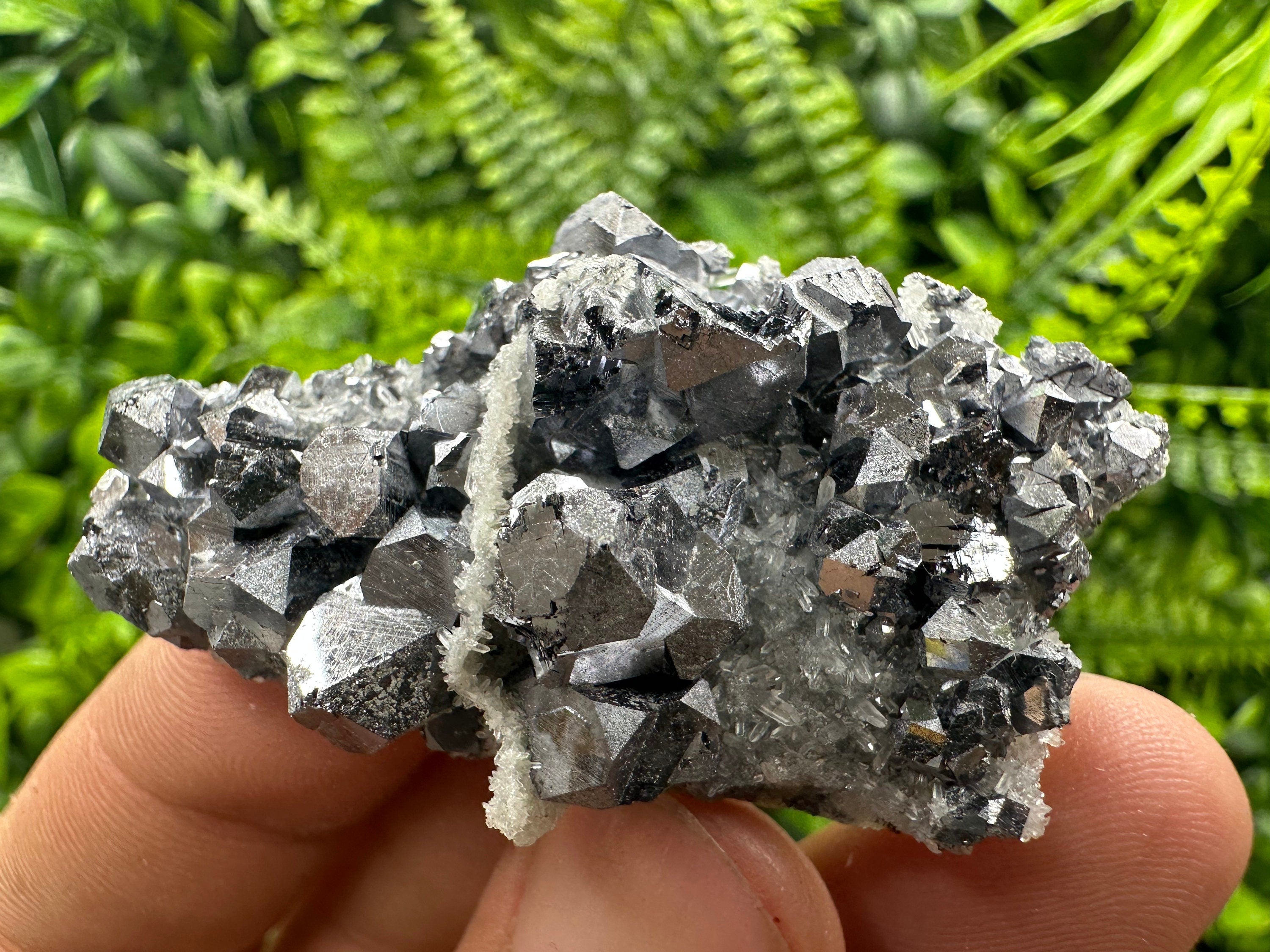 Shiny Galena on Quartz: Natural Mineral Souvenir from Bulgaria