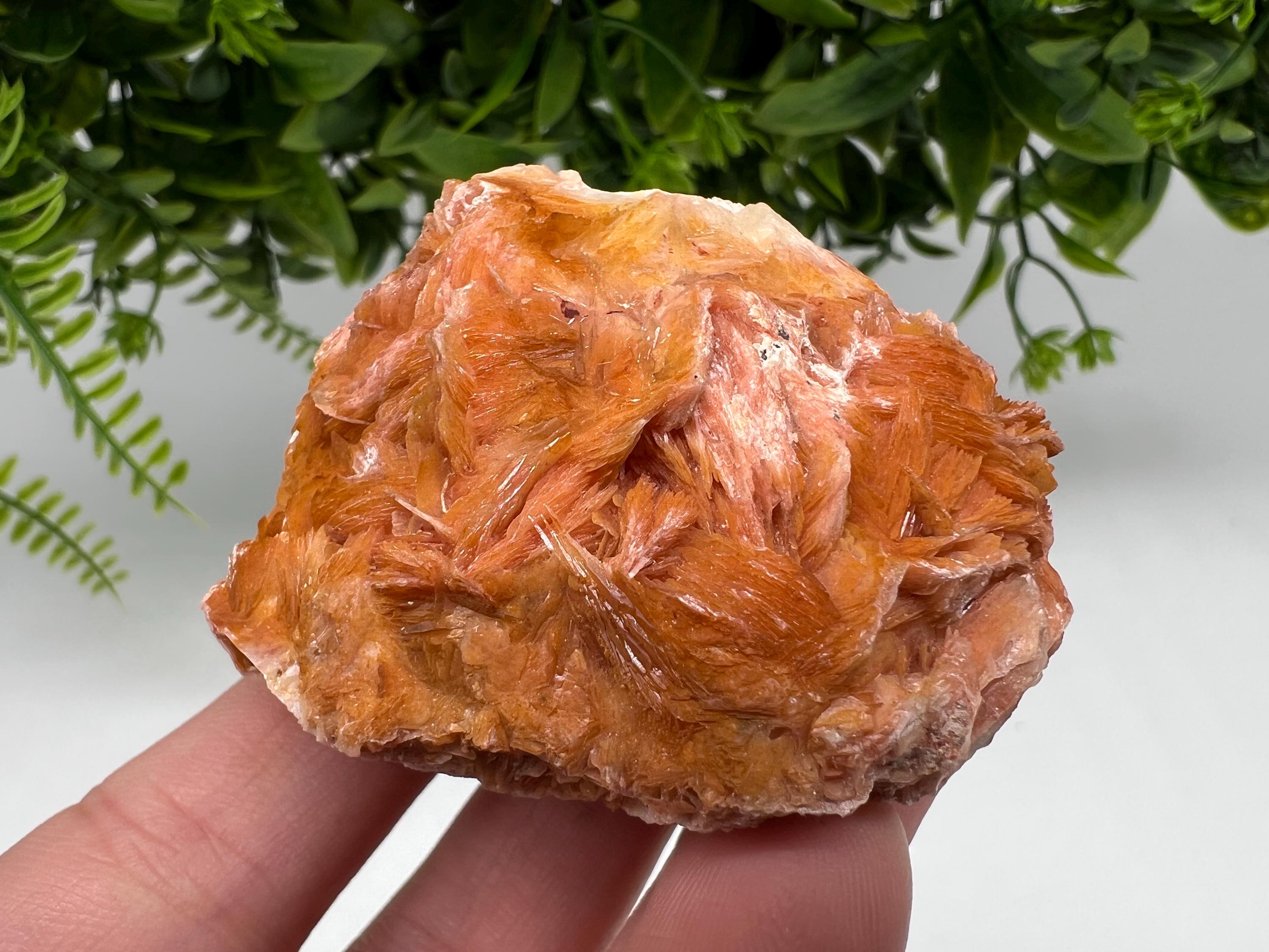 Wonderful Baryte with Cerussite on Galena from Morocco,Crystal, Mineral,Specimen,Cluster,Crystals,Barite Crystal,Cerussite Crystal,Specimen