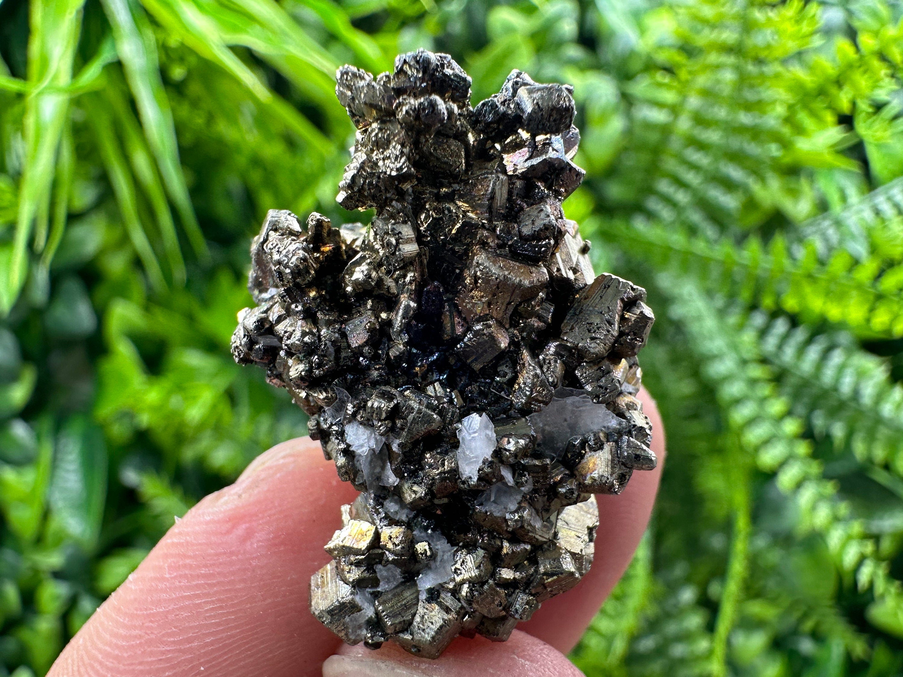 Pyrite Bornite Mineral Specimen: Borieva Mine, Bulgaria