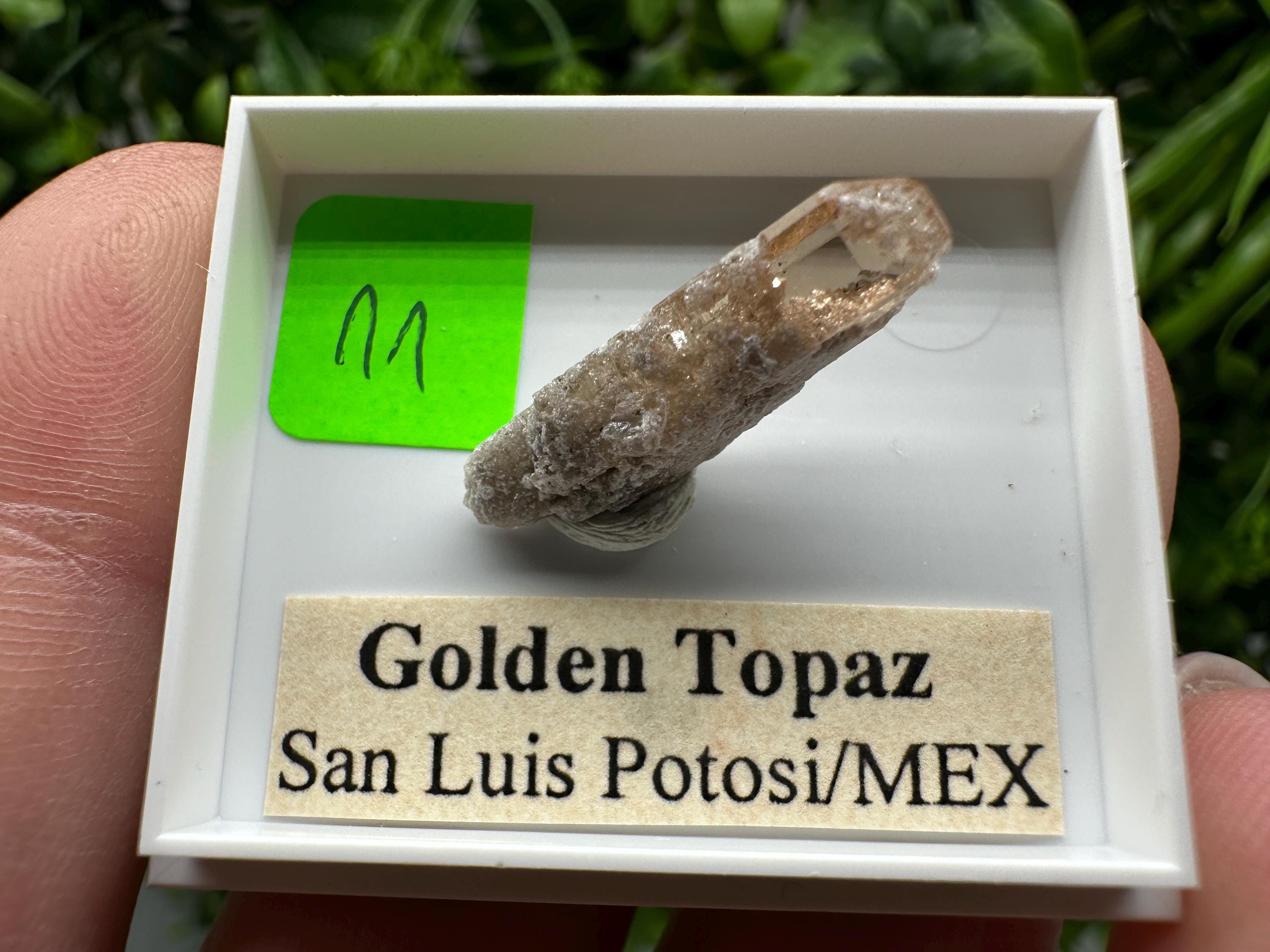 Golden Topaz Crystal, Mineral Specimen from Mexico