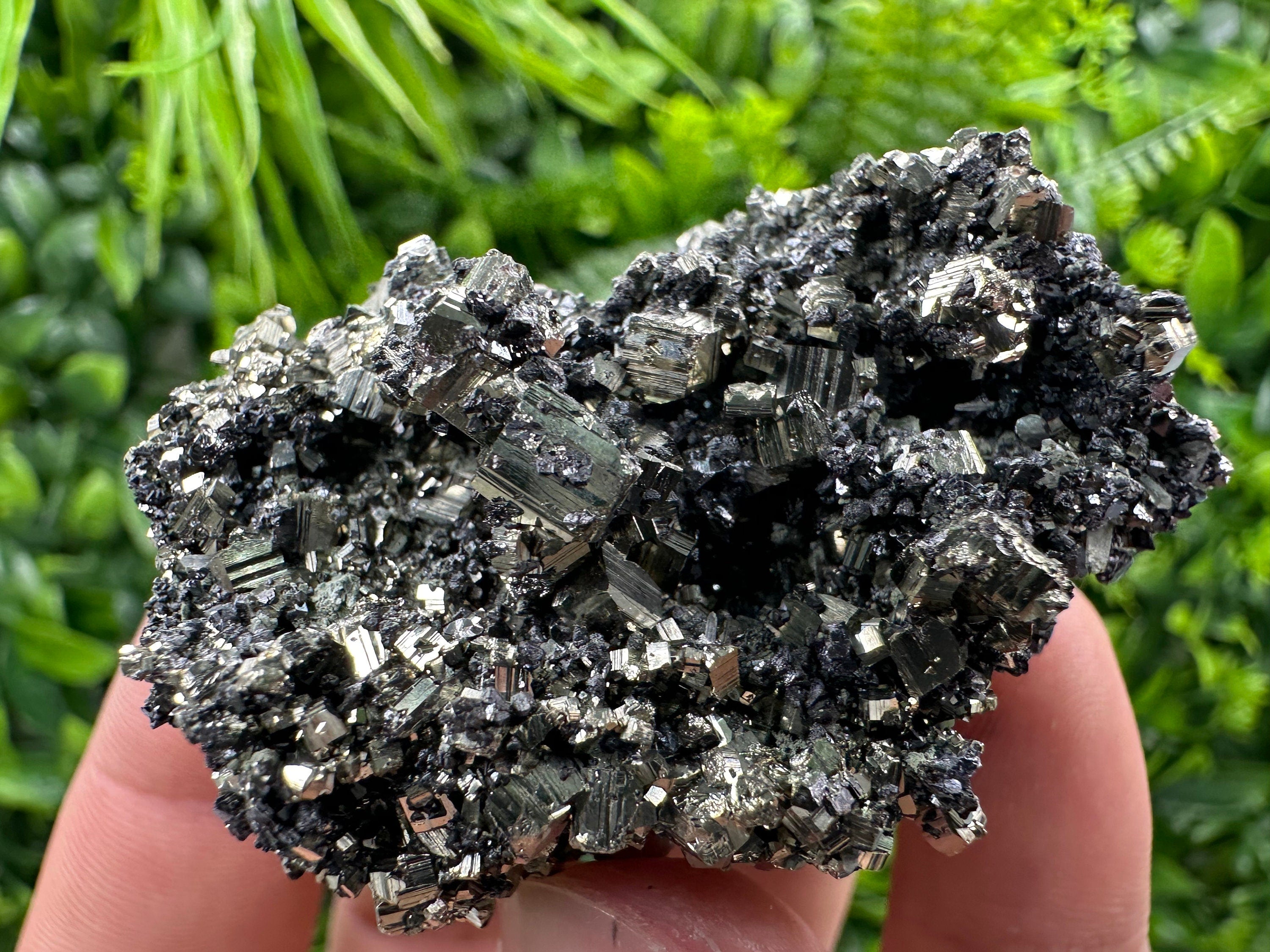 Pyrite on Quartz Needles, Borieva Mine Bulgaria, Mineral Specimen