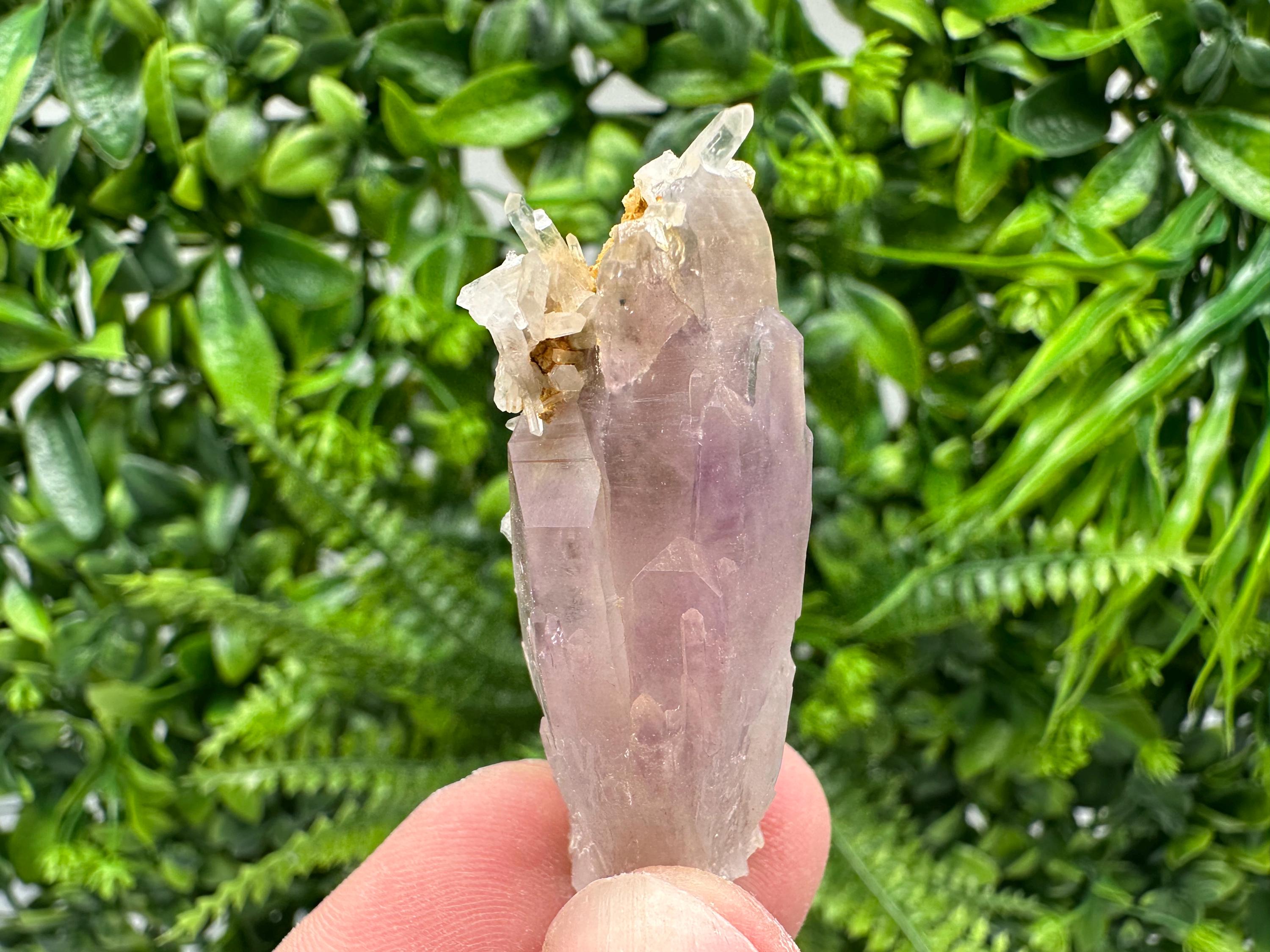 Amethyst Phantom Crystal with Cerusite, Madjarovo Mine, Bulgaria