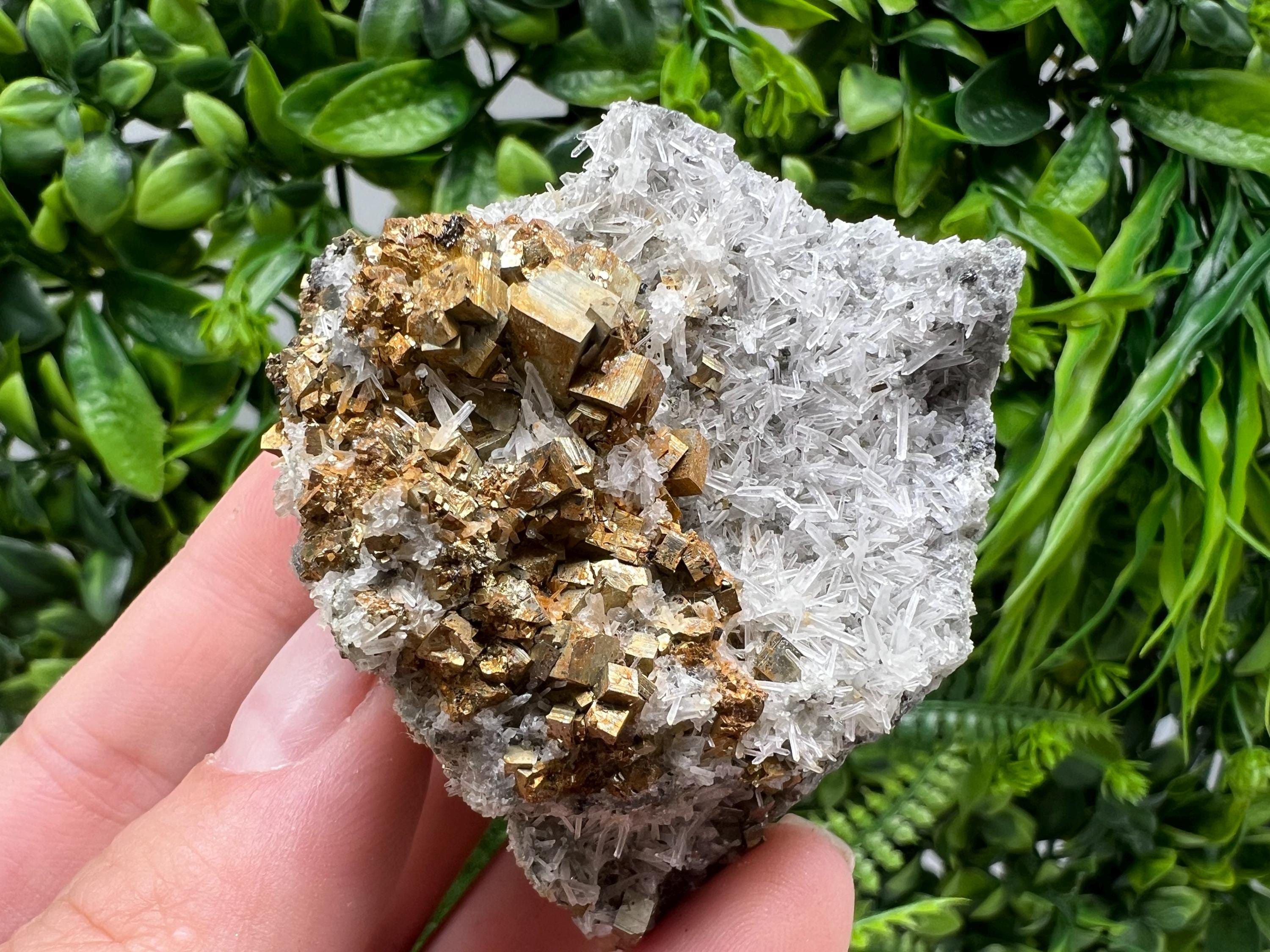 Pyrite on Green Quartz Mineral Specimen, Borieva Bulgaria