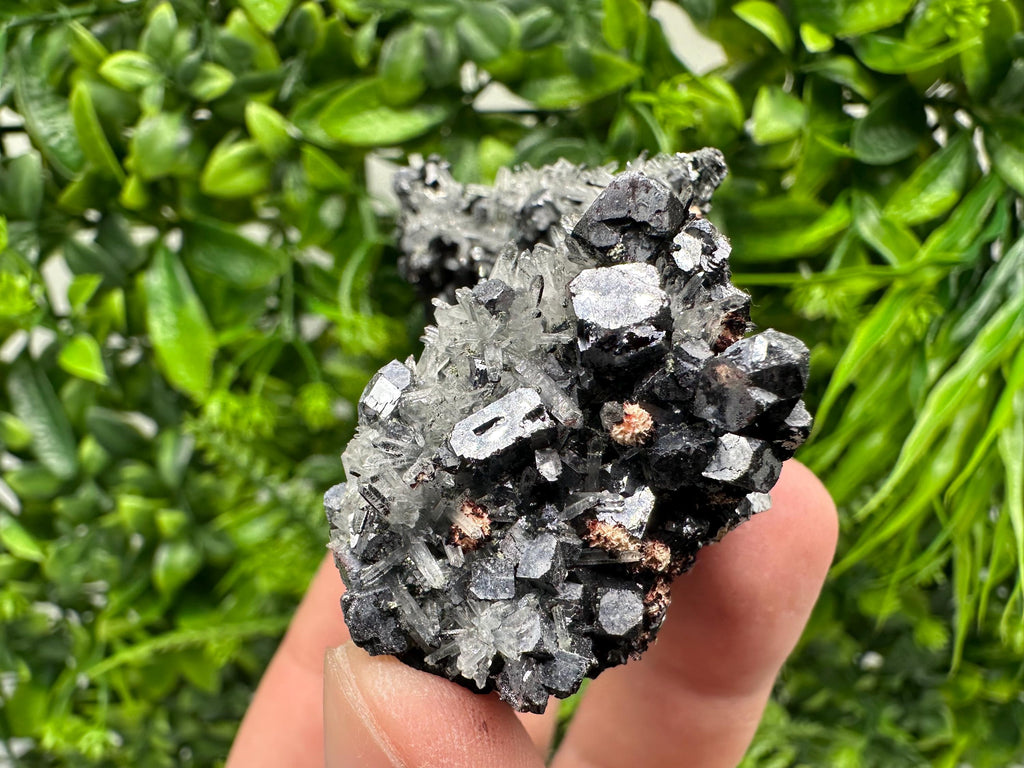 Galena, Quartz, Calcite on Chlorite, Borieva Mine Mineral Specimen