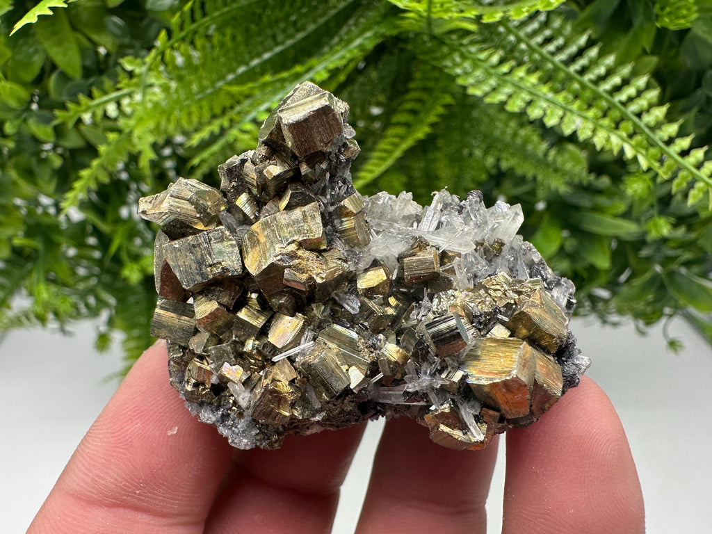 Rainbow Pyrite & Sphalerite on Quartz: Natural Crystal Decor