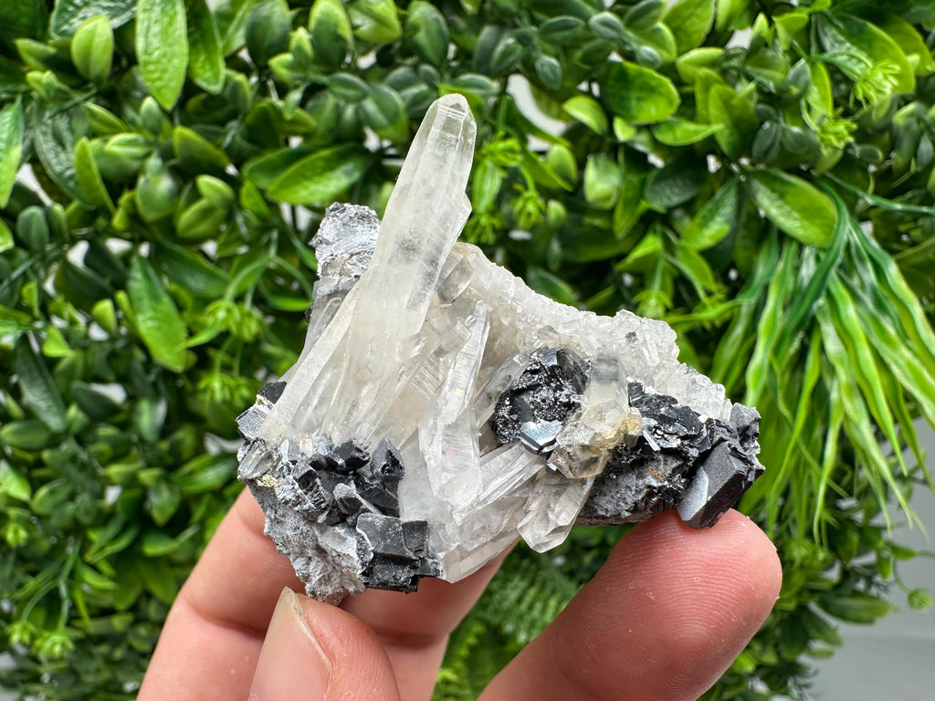 Wonderful Sphalerite Chalcopyrite on  Quartz whit Hematite feom 9 th September mine,Bulgaria,natural,collection mineral specimen,gift