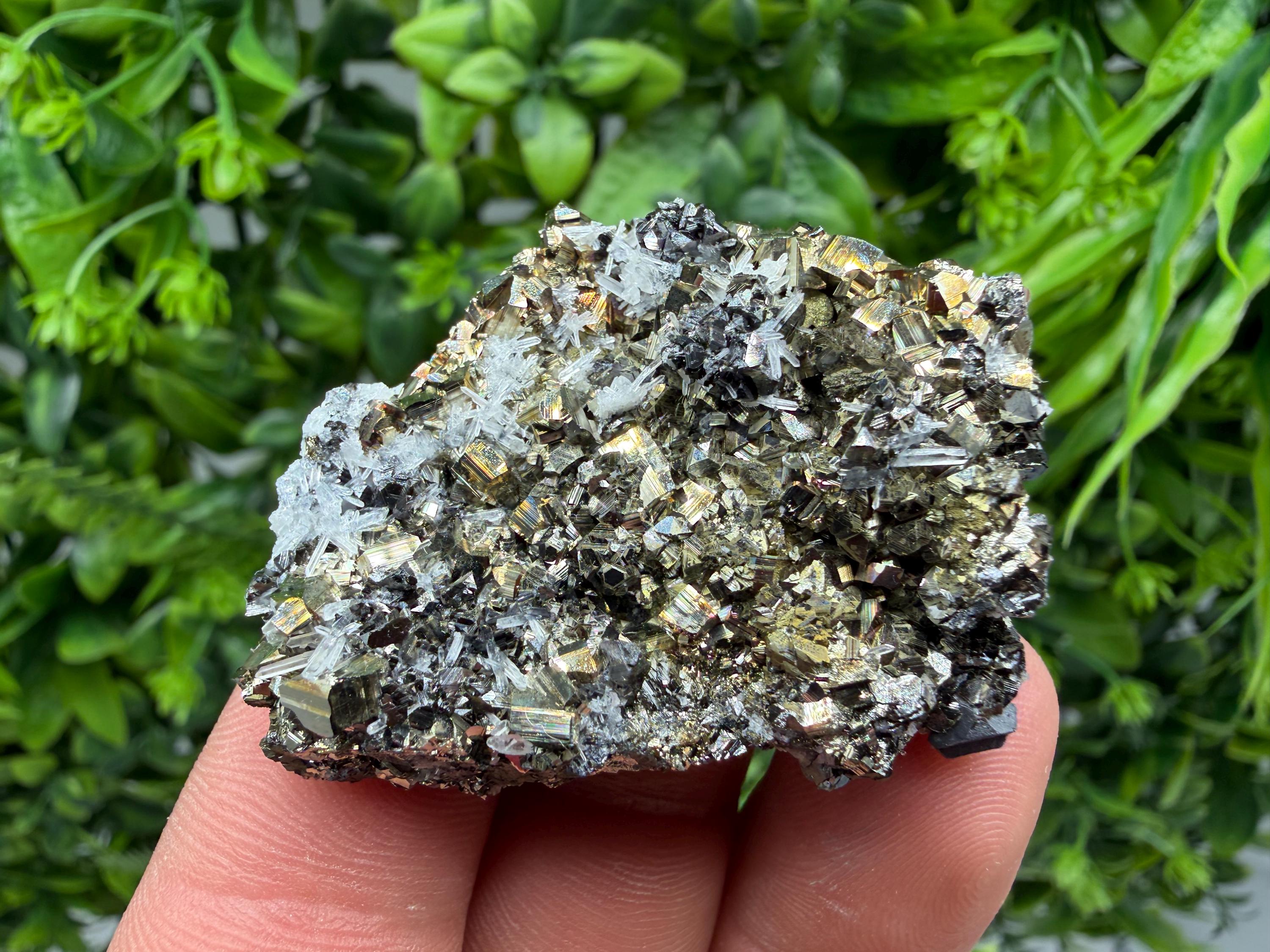 Pyrite Sphalerite Quartz Calcite Mineral Specimen, Krushev dol Mine