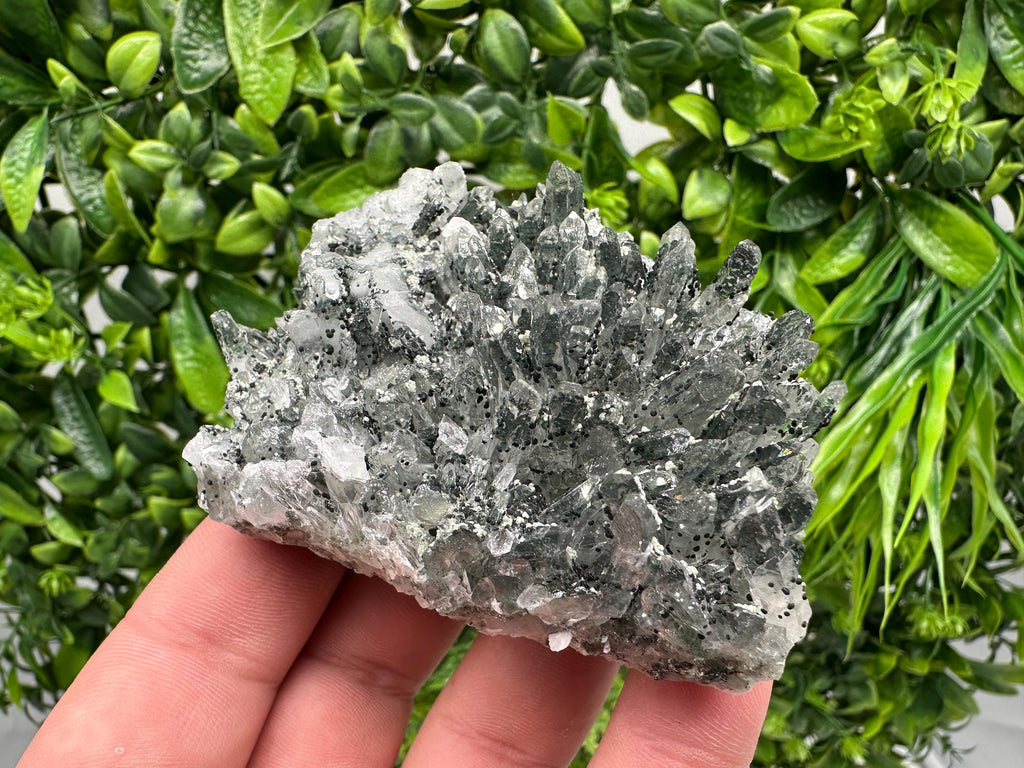 Chlorite Quartz Crystal Cluster - Borieva Mine, Bulgaria