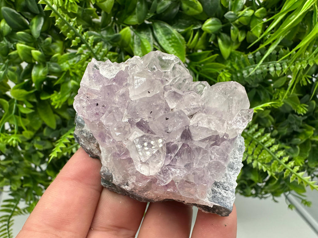 Brazilian Amethyst Cluster, Purple Quartz Crystal Specimen