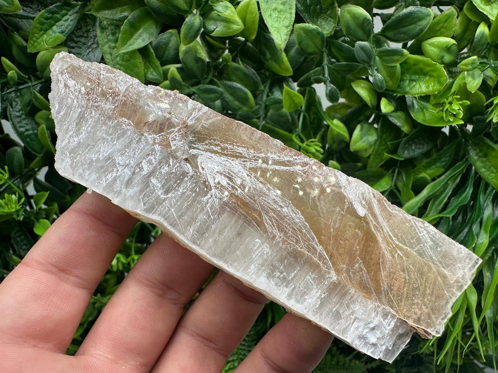 Golden Phantom Selenite Slab: Raw Utah Fishtail Selenite Wand