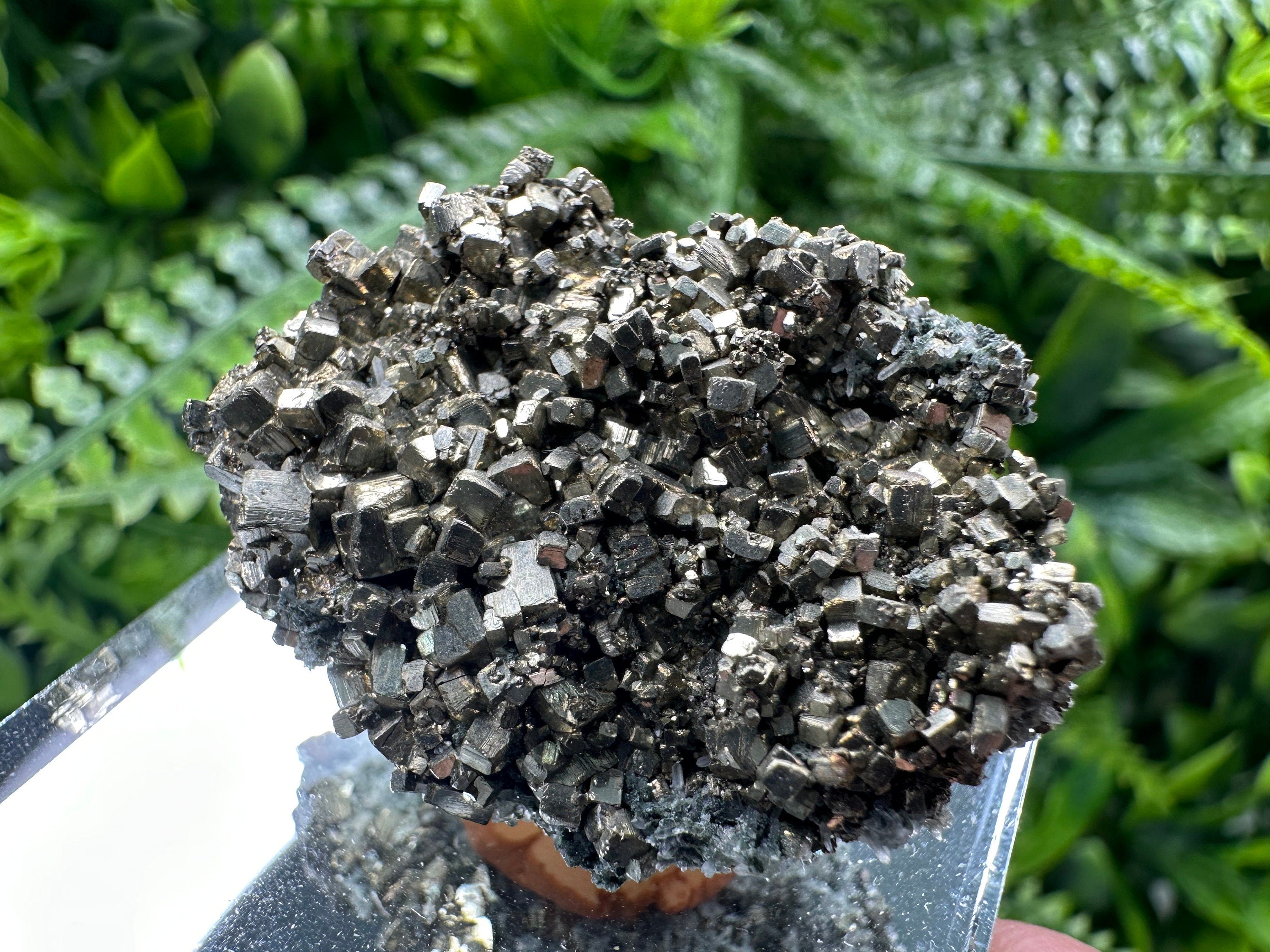 Rare Golden Pyrite Cluster: Borieva Mine, Bulgaria