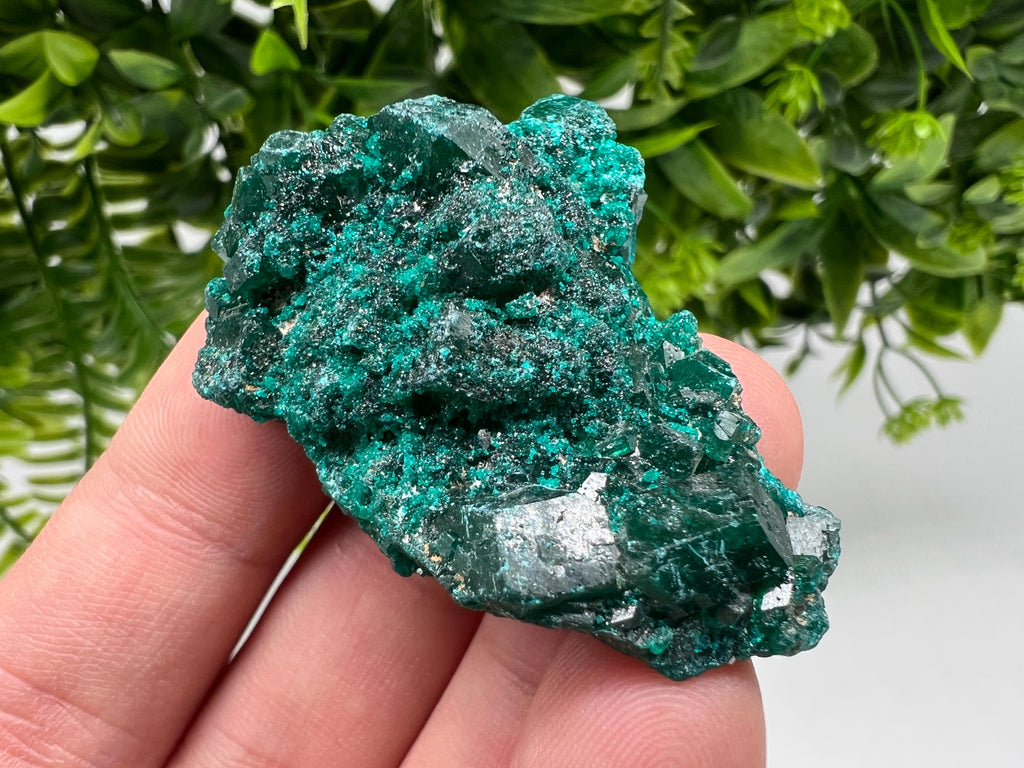 Stunning Green Dioptase from Sanda Hills,Mindouli,Pool Department,Mindouli District,Congo,green Dioptase,Dioptas Crystal,Dioptase collecting