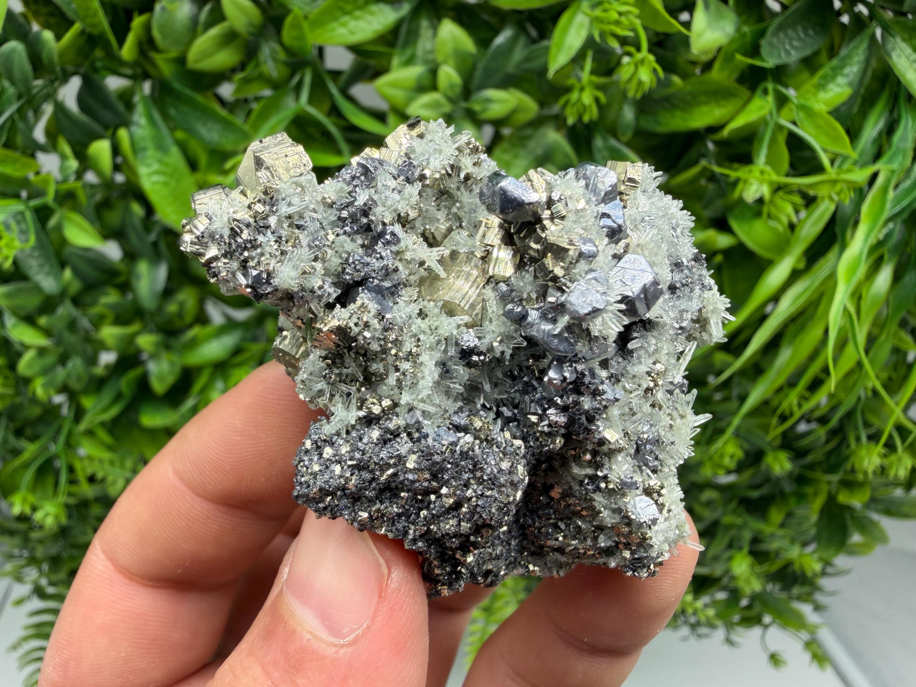 Pyrite Sphalerite Quartz  Mineral Specimen, Krushev dol Mine