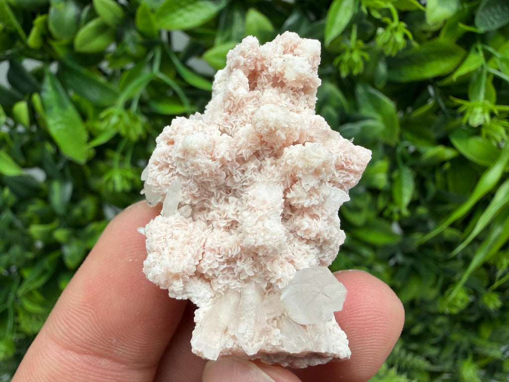 Stunning Quartz whit Chlorite on Rhodochrosite covered whit siderite natural minerals souvenir crystal home decor stone 9th September mine