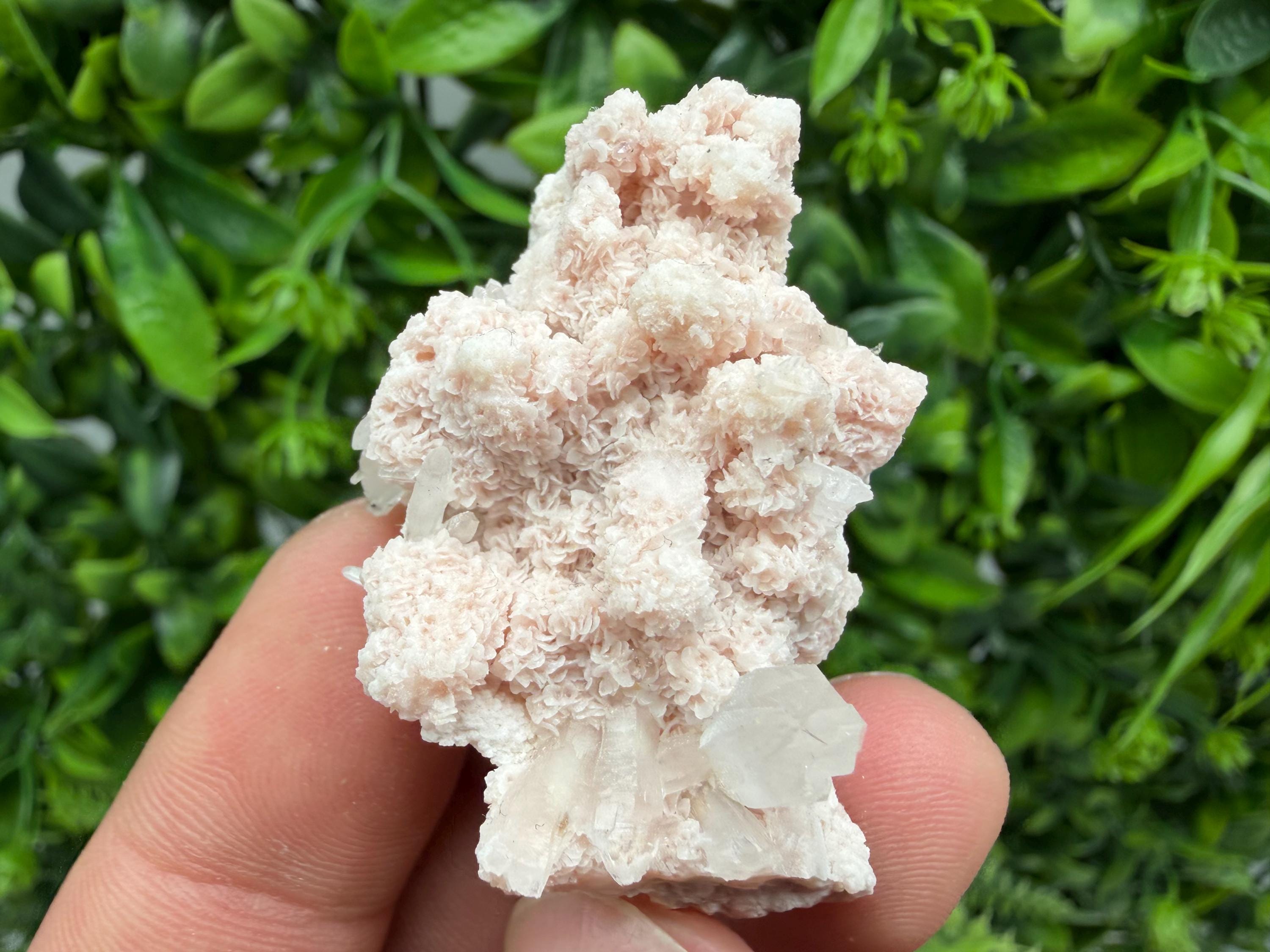Stunning Quartz whit Chlorite on Rhodochrosite covered whit siderite natural minerals souvenir crystal home decor stone 9th September mine