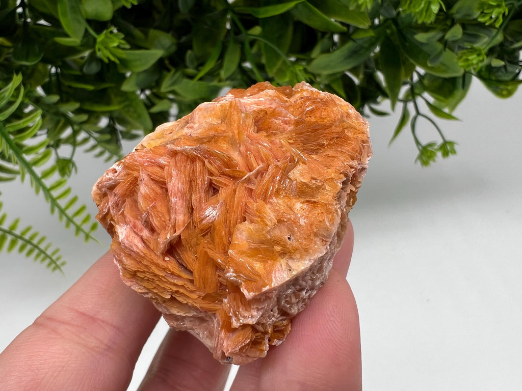 Wonderful Baryte with Cerussite on Galena from Morocco,Crystal, Mineral,Specimen,Cluster,Crystals,Barite Crystal,Cerussite Crystal,Specimen
