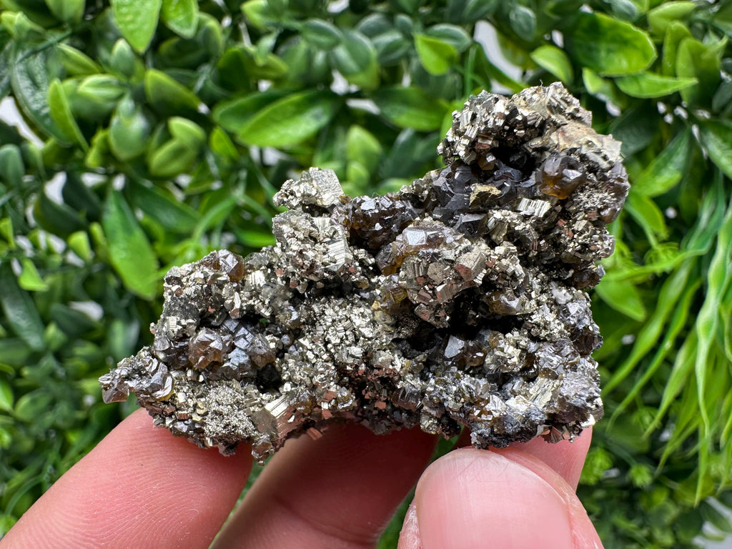 Sphalerite GEM Cleiopfane on Pyrite, Rare Crystal Mineral Stone