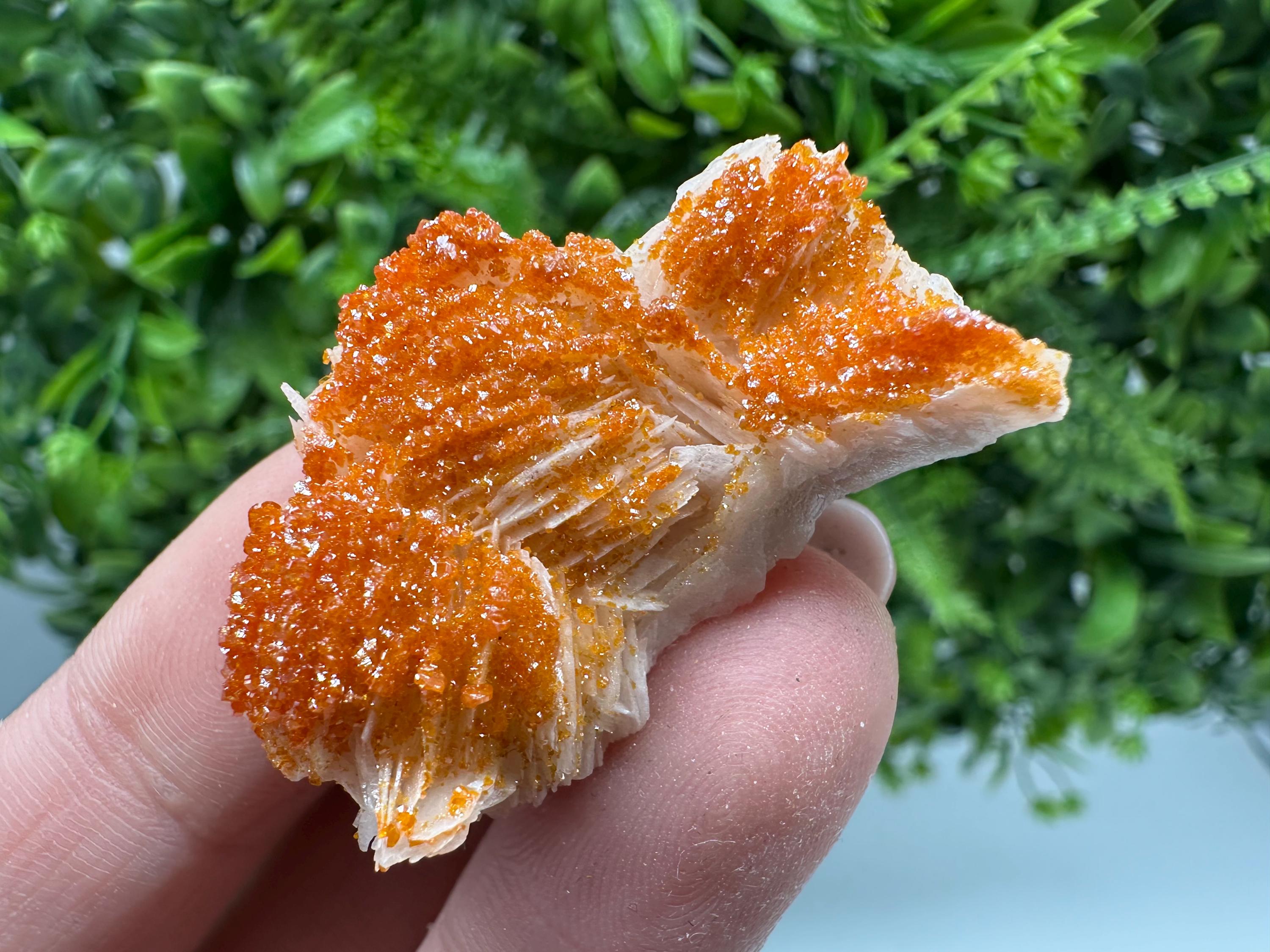 Red Vanadinite on Barite, Moroccan Crystal Specimen